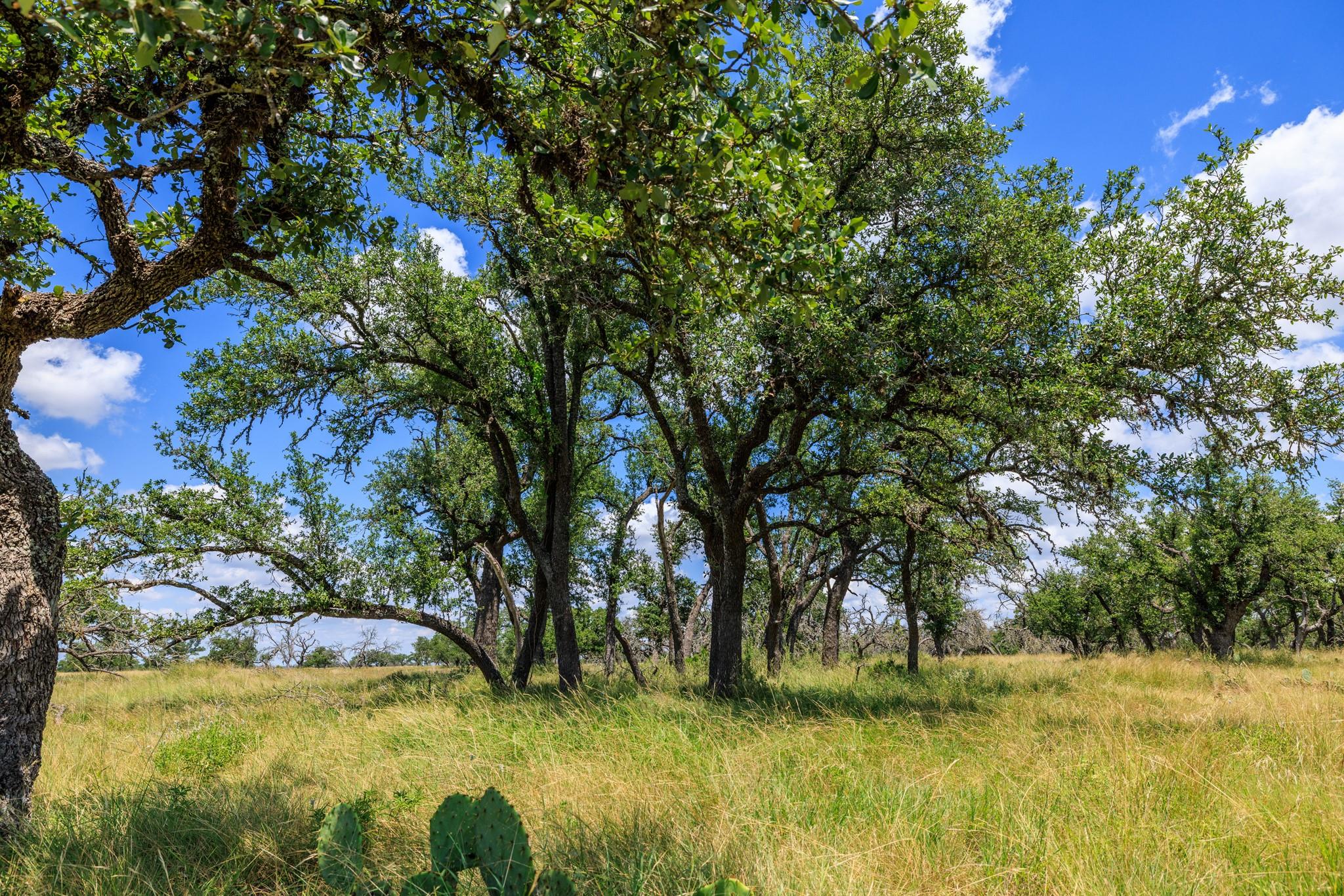Lot 88 Stock Pond Dr, Harper, TX 78631