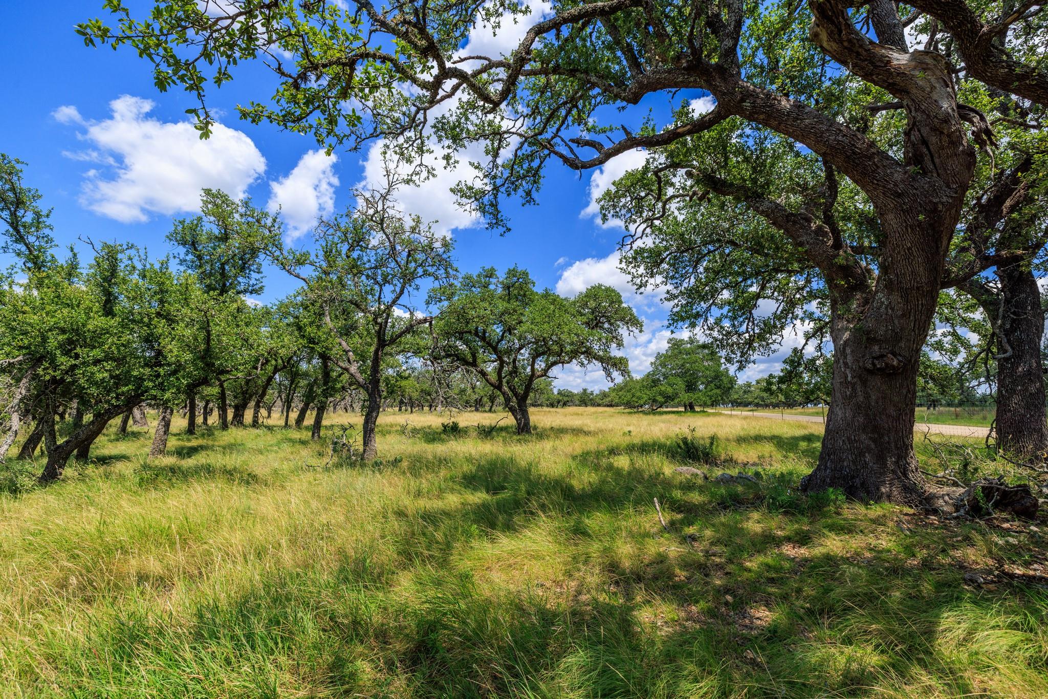 Lot 88 Stock Pond Dr, Harper, TX 78631