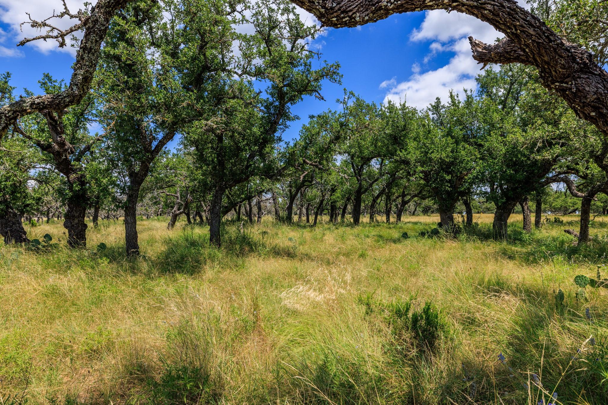 Lot 88 Stock Pond Dr, Harper, TX 78631