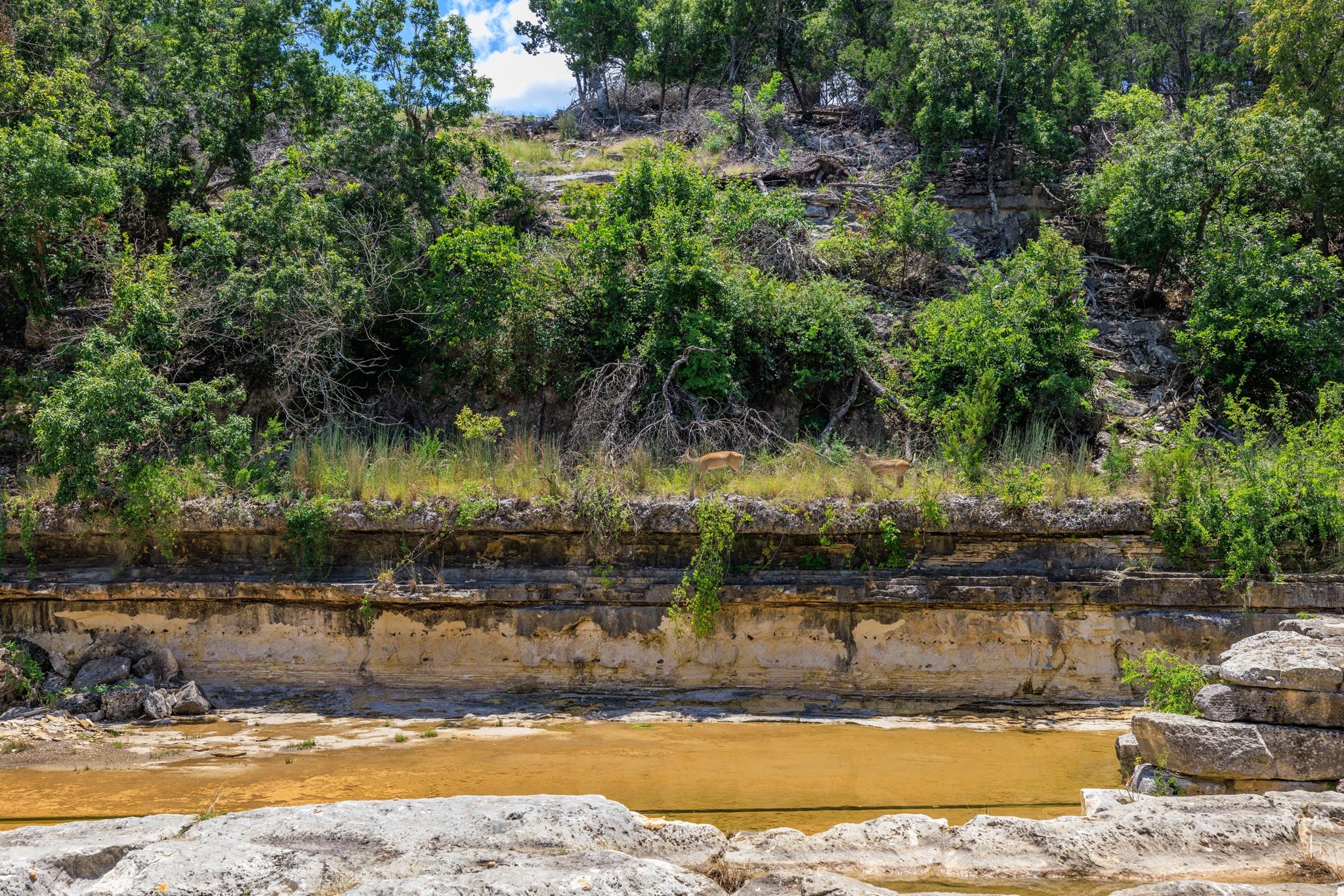 Lot 88 Stock Pond Dr, Harper, TX 78631