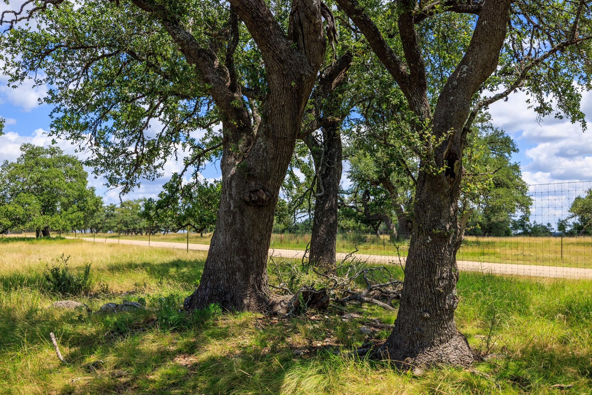 Lot 88 Stock Pond Dr, Harper, TX 78631