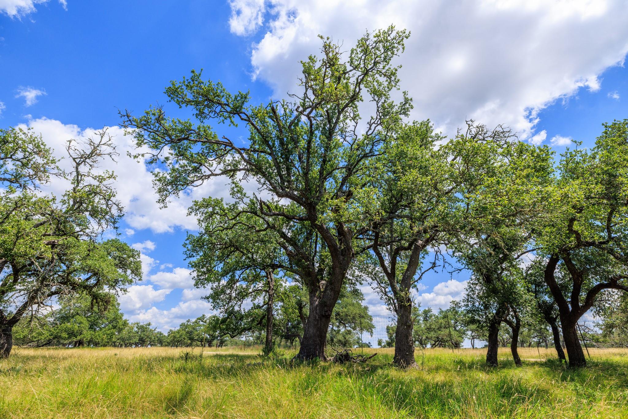 Lot 88 Stock Pond Dr, Harper, TX 78631