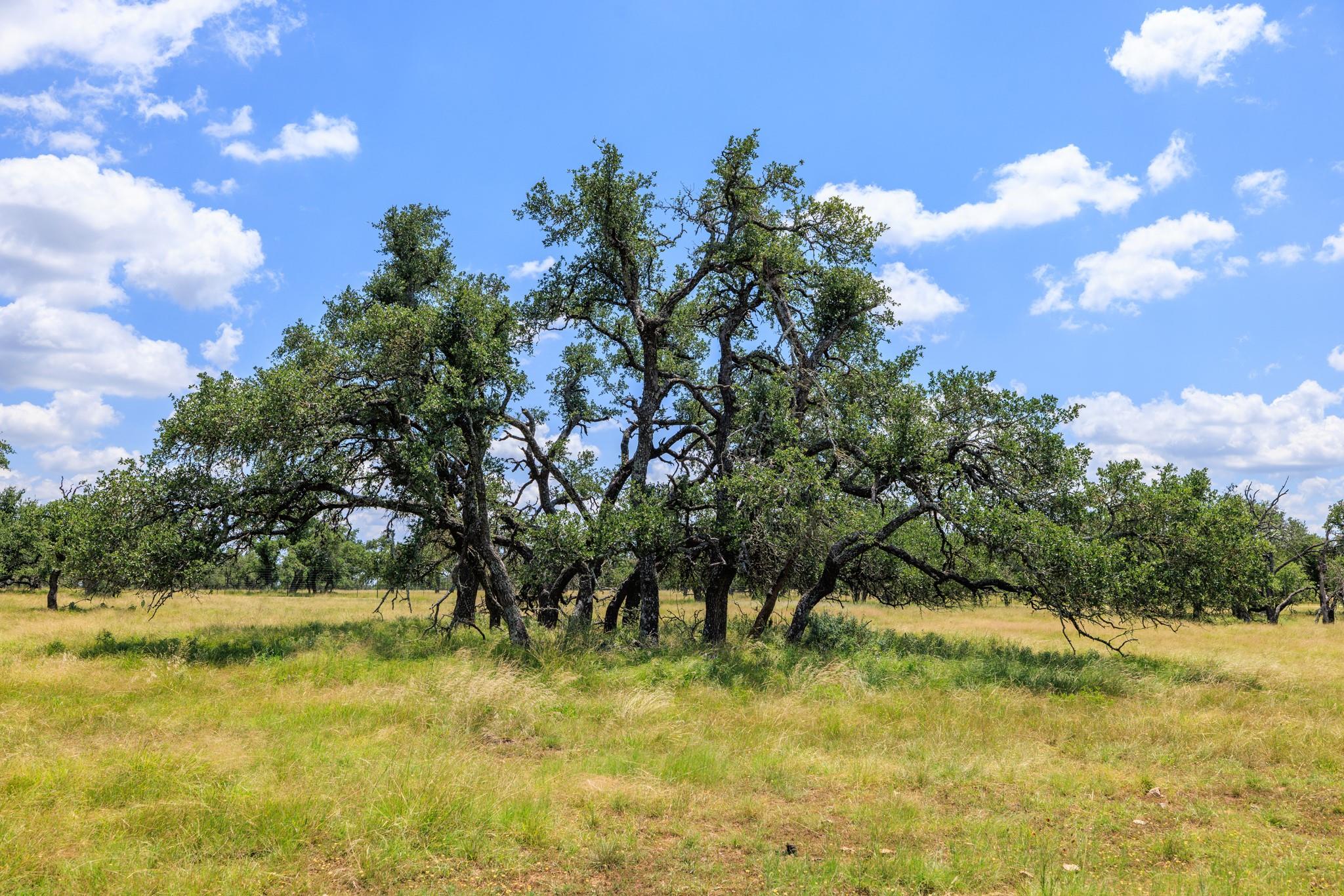 Lot 88 Stock Pond Dr, Harper, TX 78631