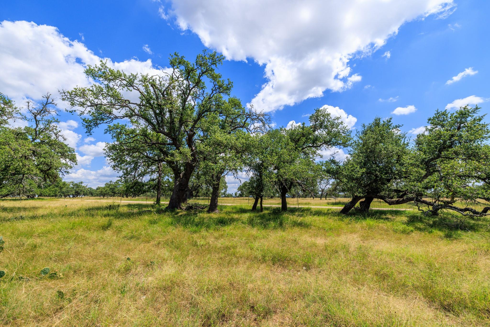 Lot 88 Stock Pond Dr, Harper, TX 78631