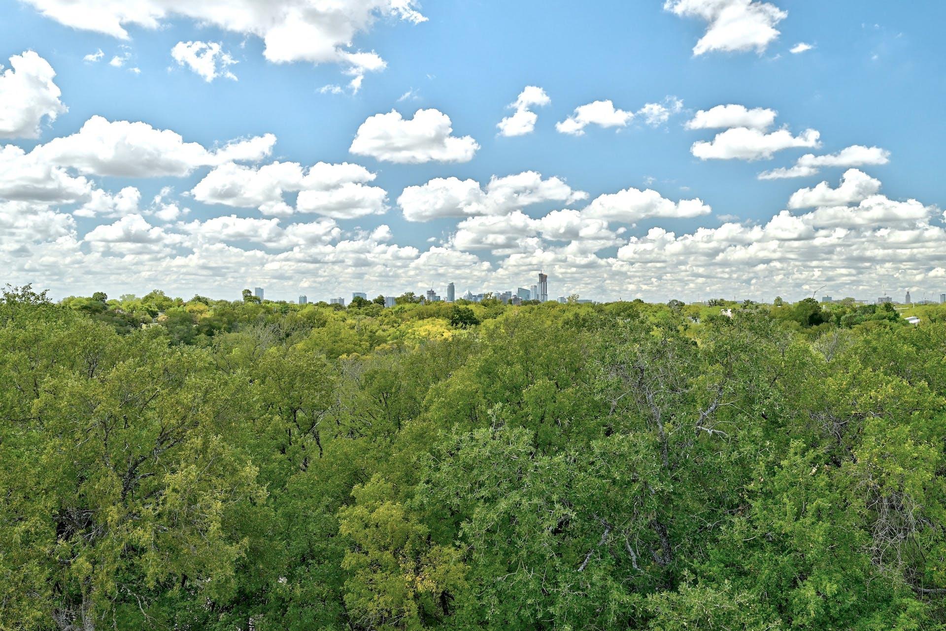 3406 E 17th St # 5, Austin, TX 78721