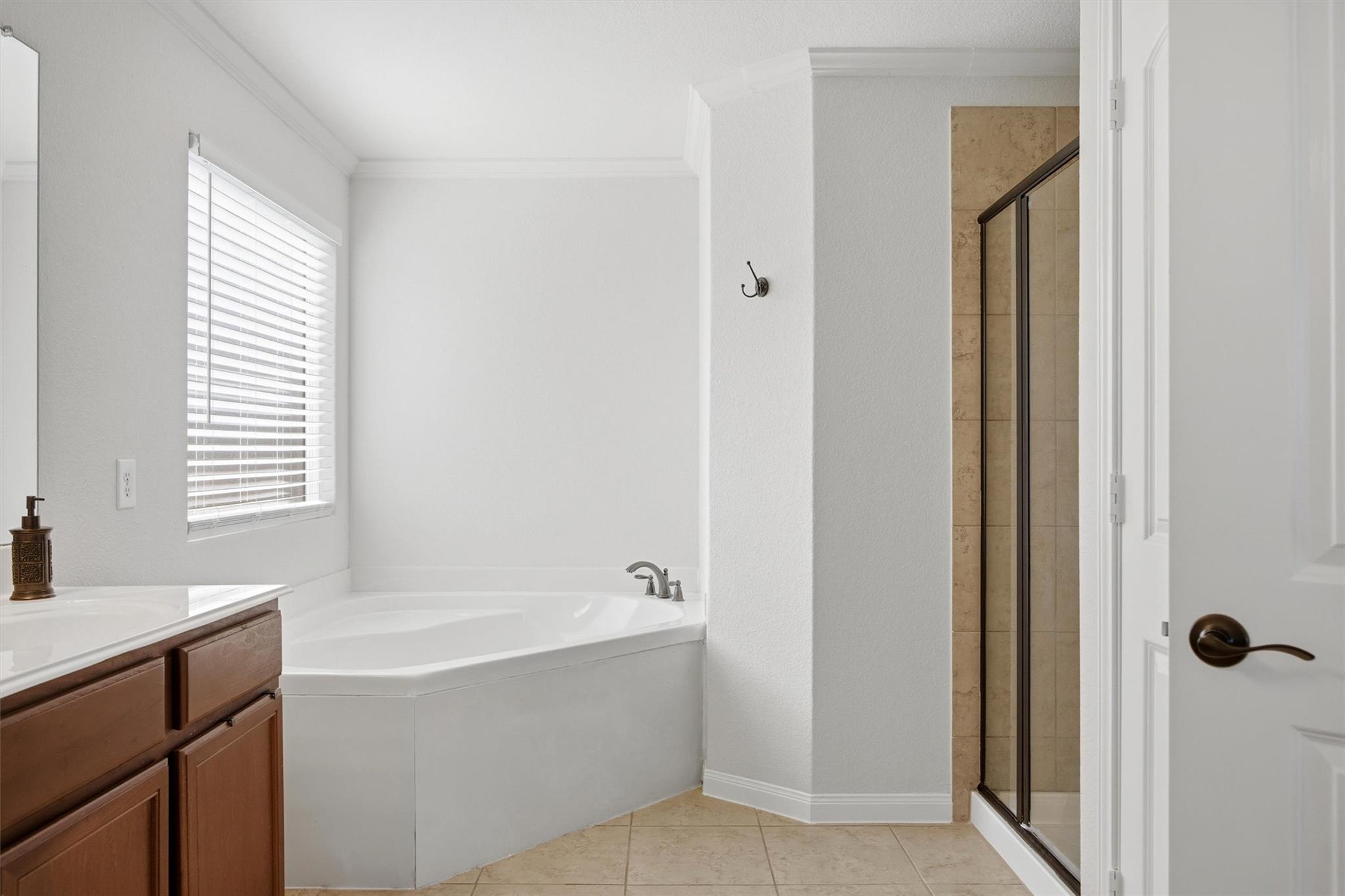 1728 Amy Dr, Kyle, TX 78640