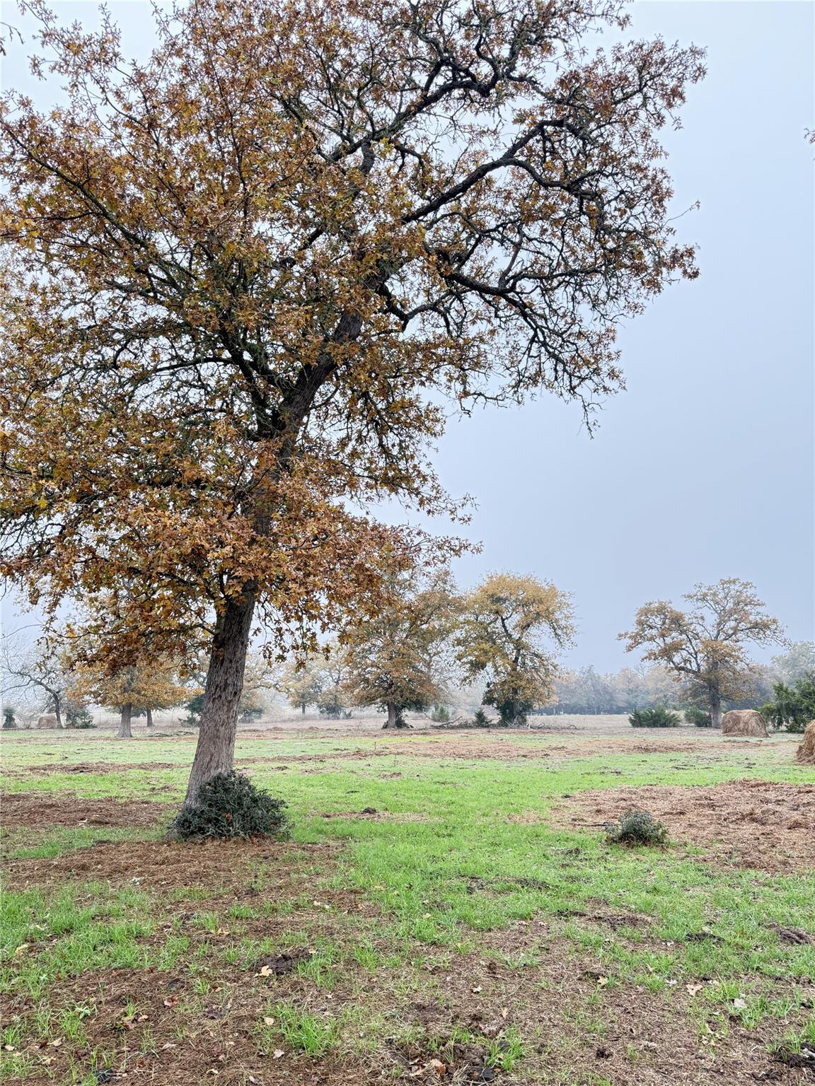 11791 Silver Springs Rd, Rockdale, TX 76567