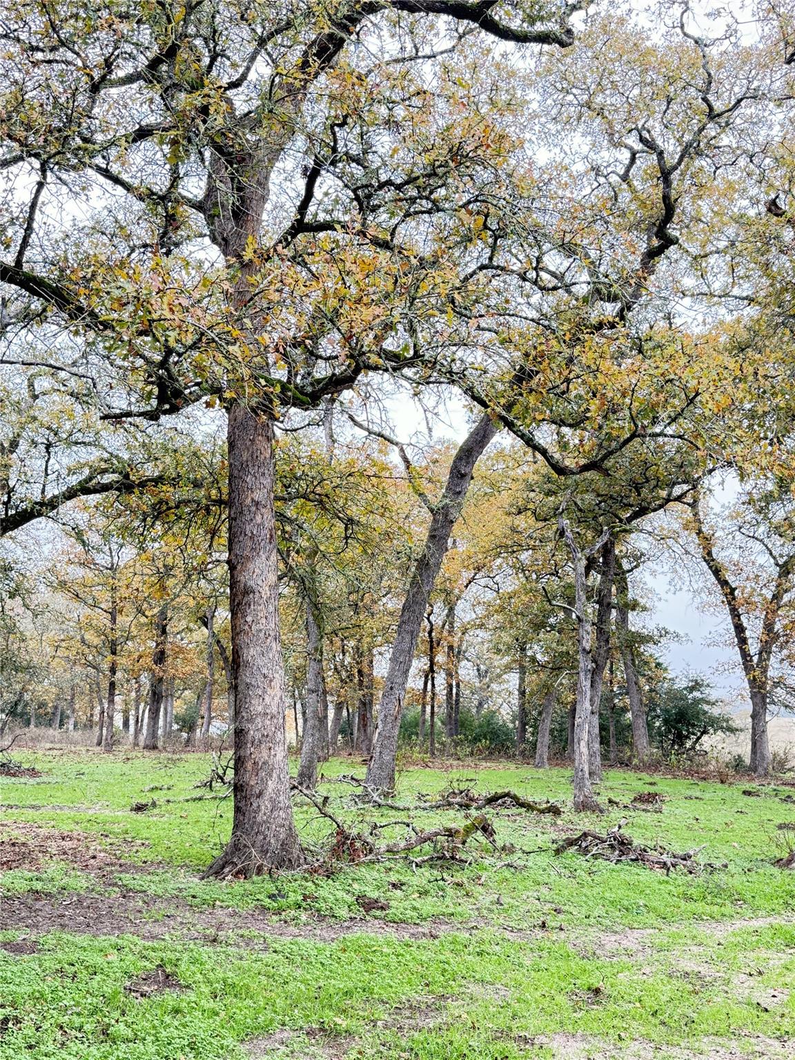 11791 Silver Springs Rd, Rockdale, TX 76567