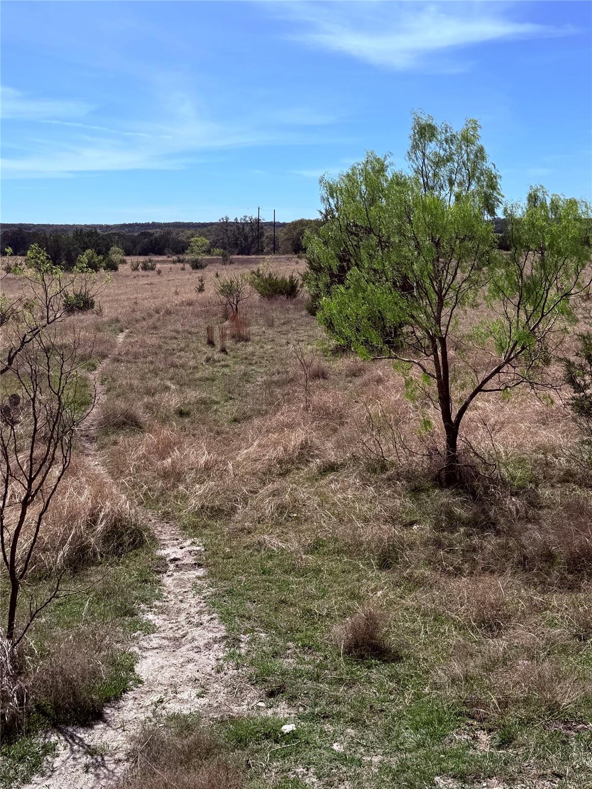 198 Cherry Laurel Ln, Lampasas, TX 76550