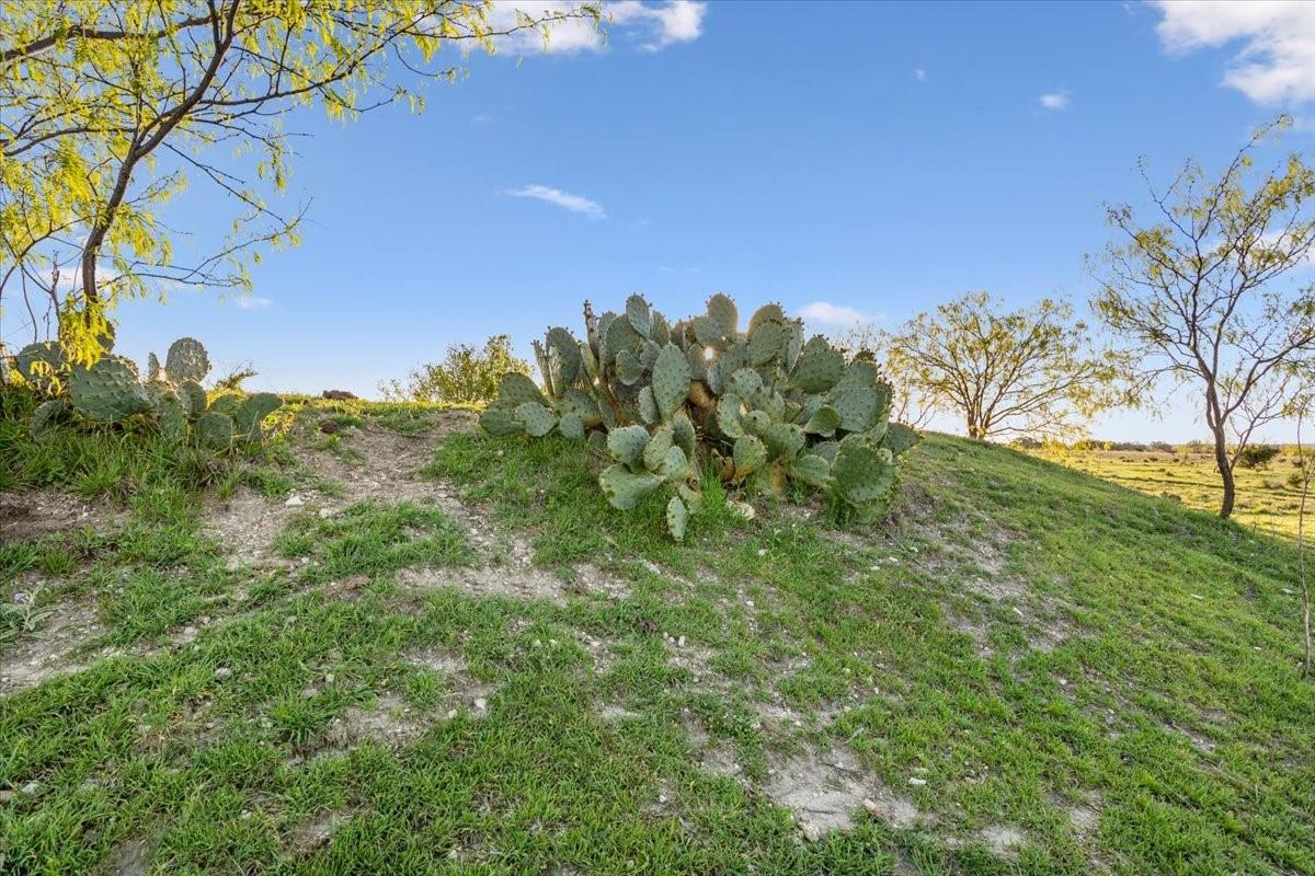 198 Cherry Laurel Ln, Lampasas, TX 76550