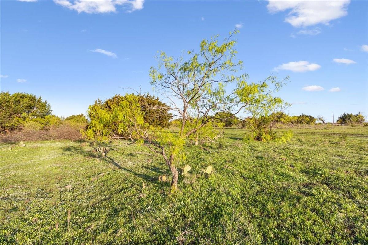198 Cherry Laurel Ln, Lampasas, TX 76550