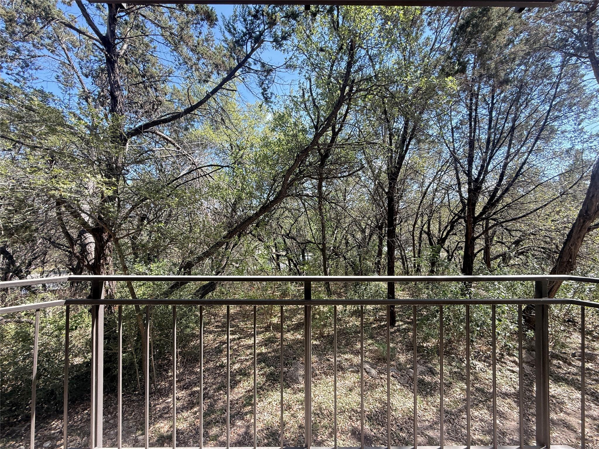 6000 Shepherd Mountain Cv # 1705, Austin, TX 78730