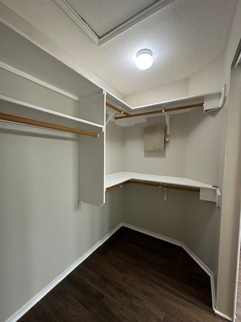 13417 Gent Dr, Austin, TX 78729