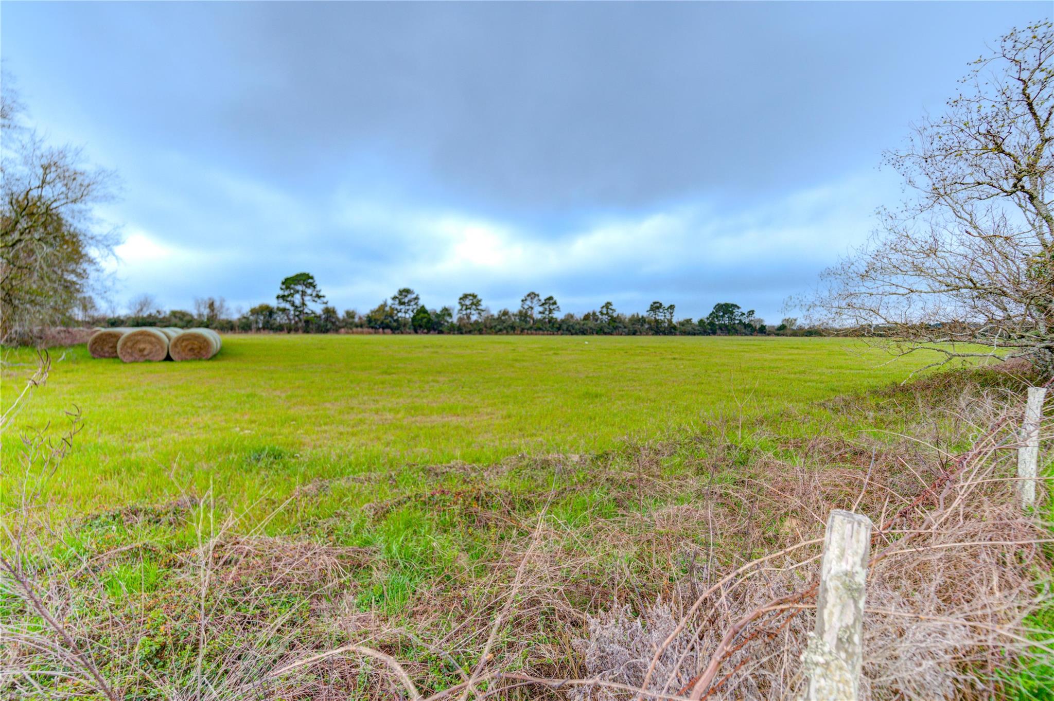 29241 Burton Cemetery Rd, Waller, TX 77484