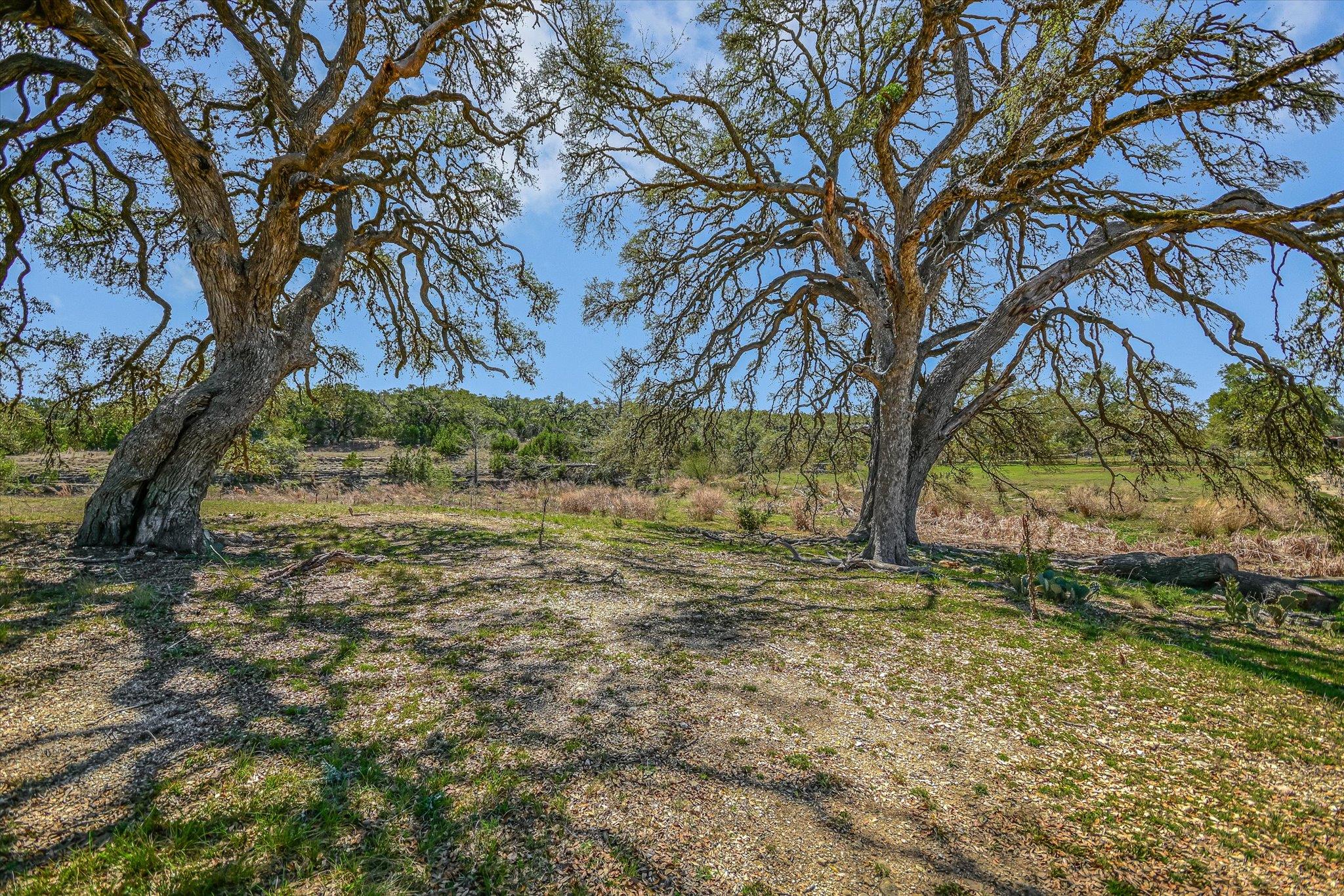 5421 PURGATORY Rd, San Marcos, TX 78666