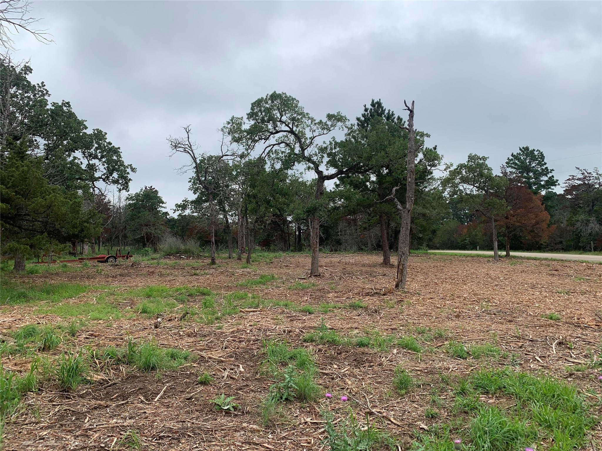 000 Pine Valley Loop, Smithville, TX 78612
