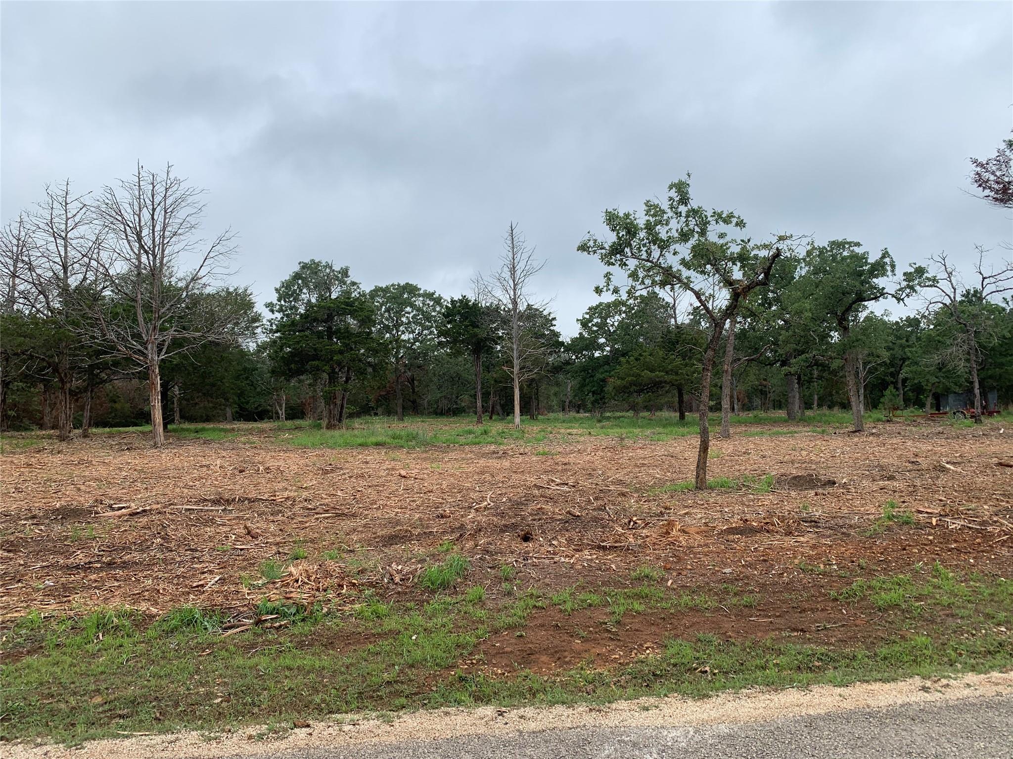 000 Pine Valley Loop, Smithville, TX 78612