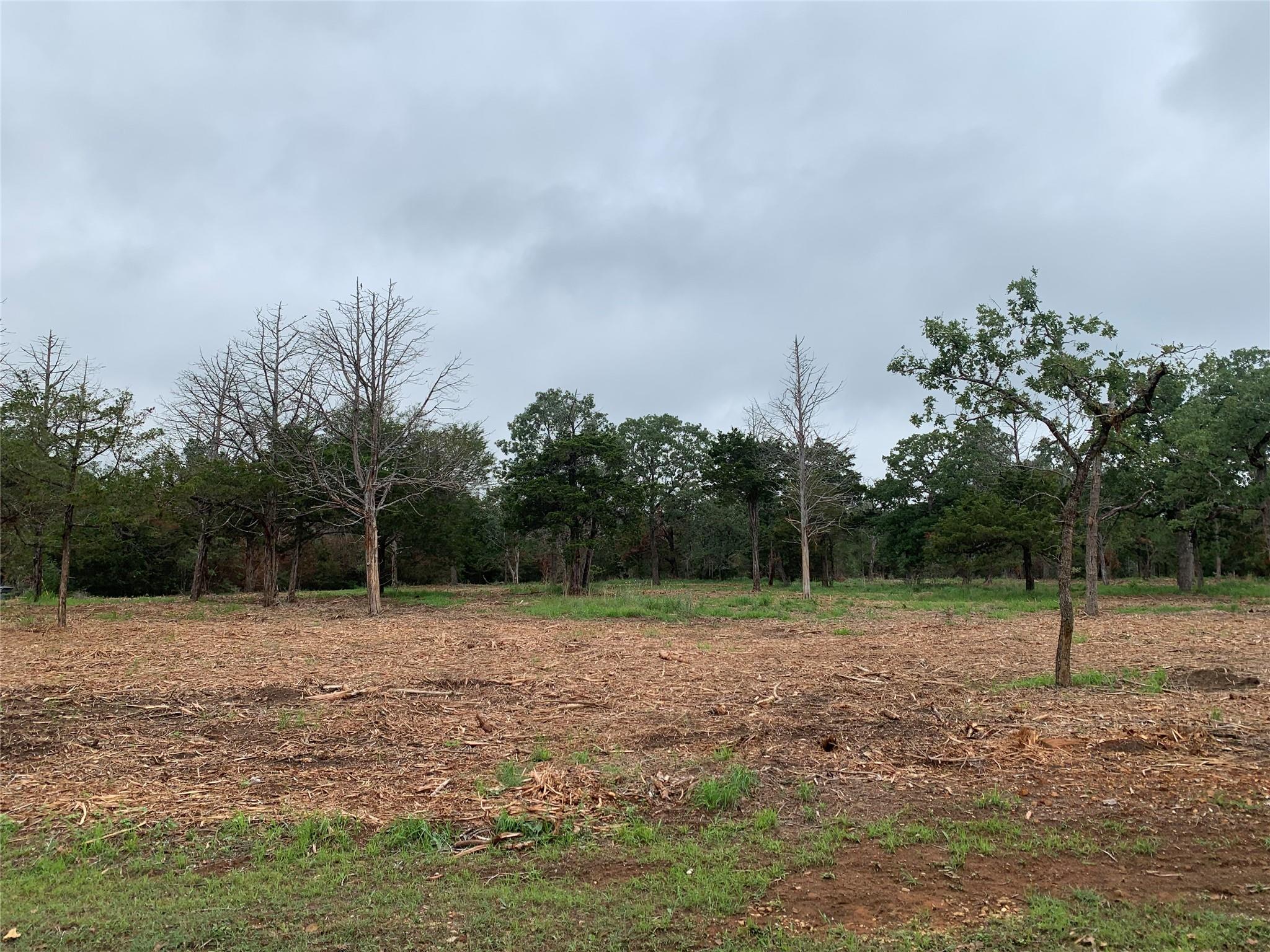 000 Pine Valley Loop, Smithville, TX 78612