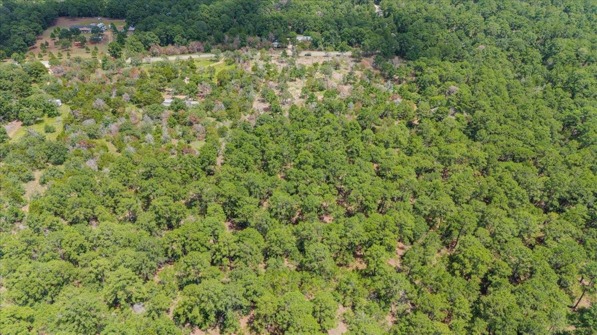 000 Pine Valley Loop, Smithville, TX 78612