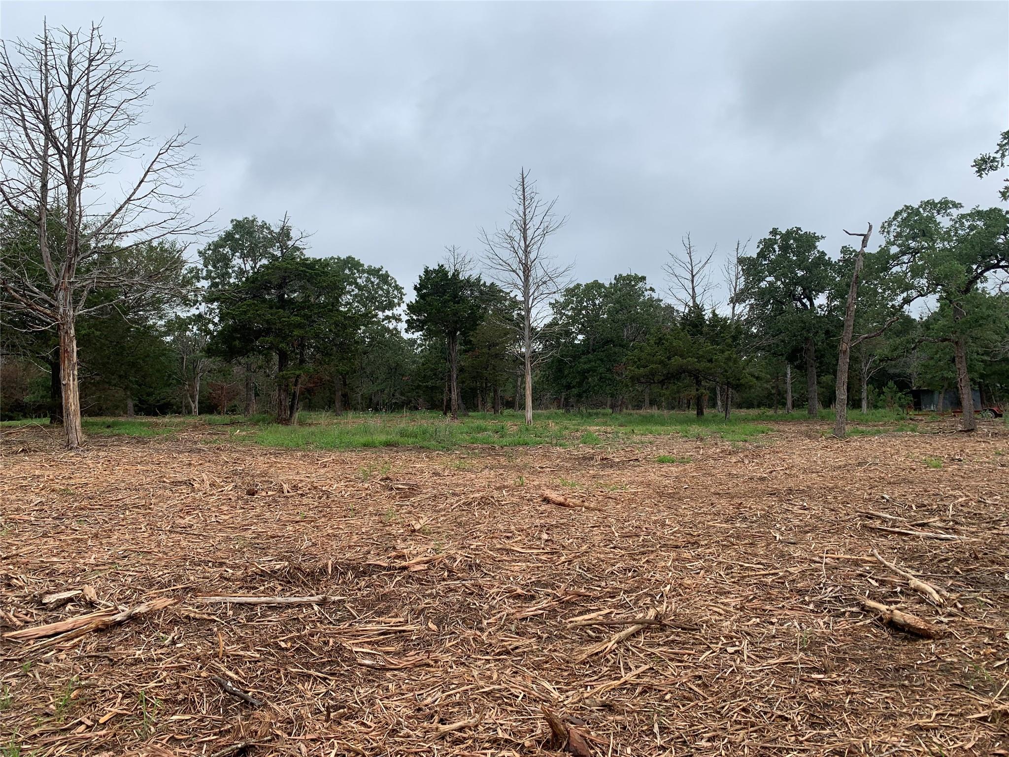 000 Pine Valley Loop, Smithville, TX 78612