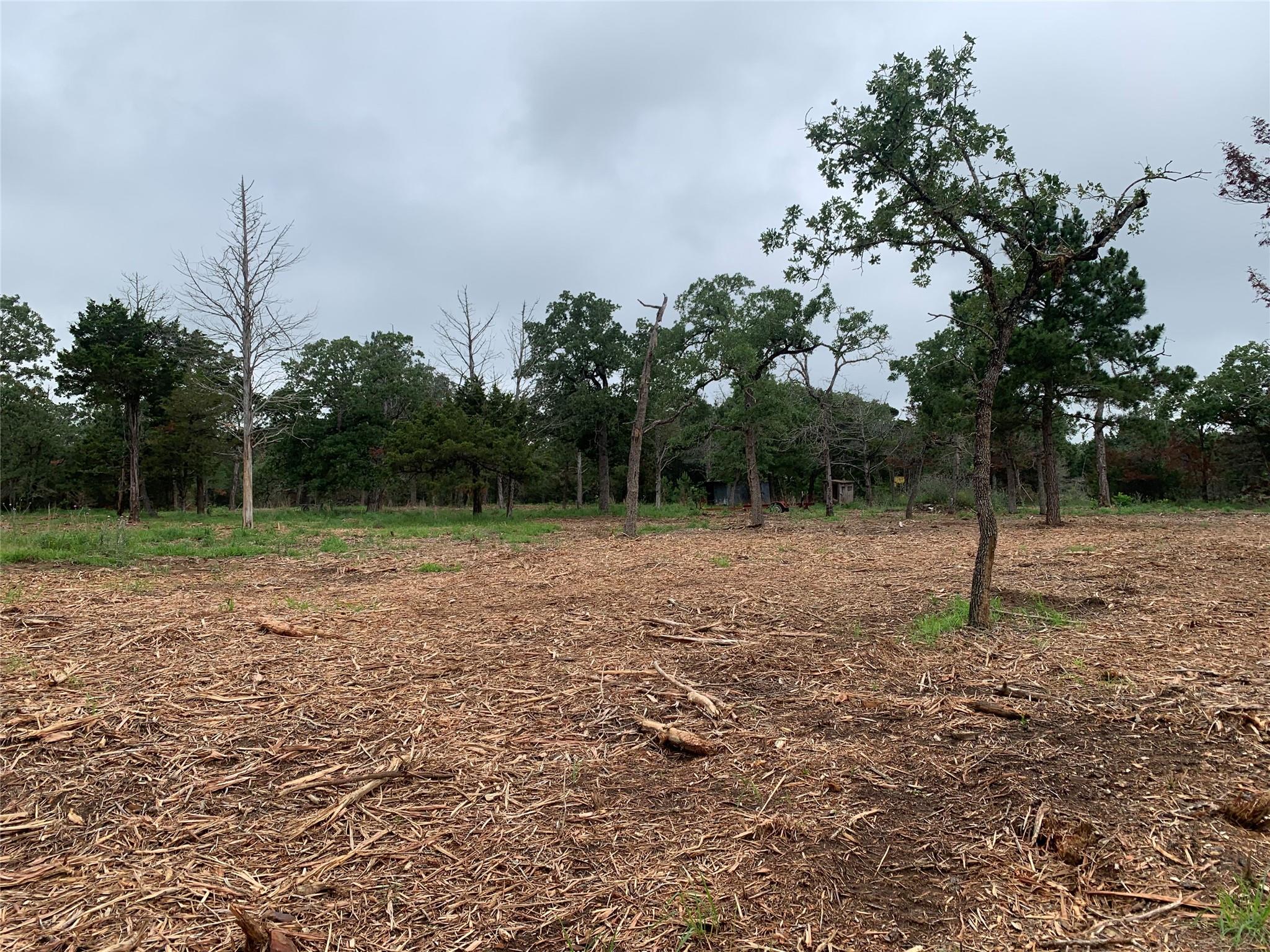 000 Pine Valley Loop, Smithville, TX 78612