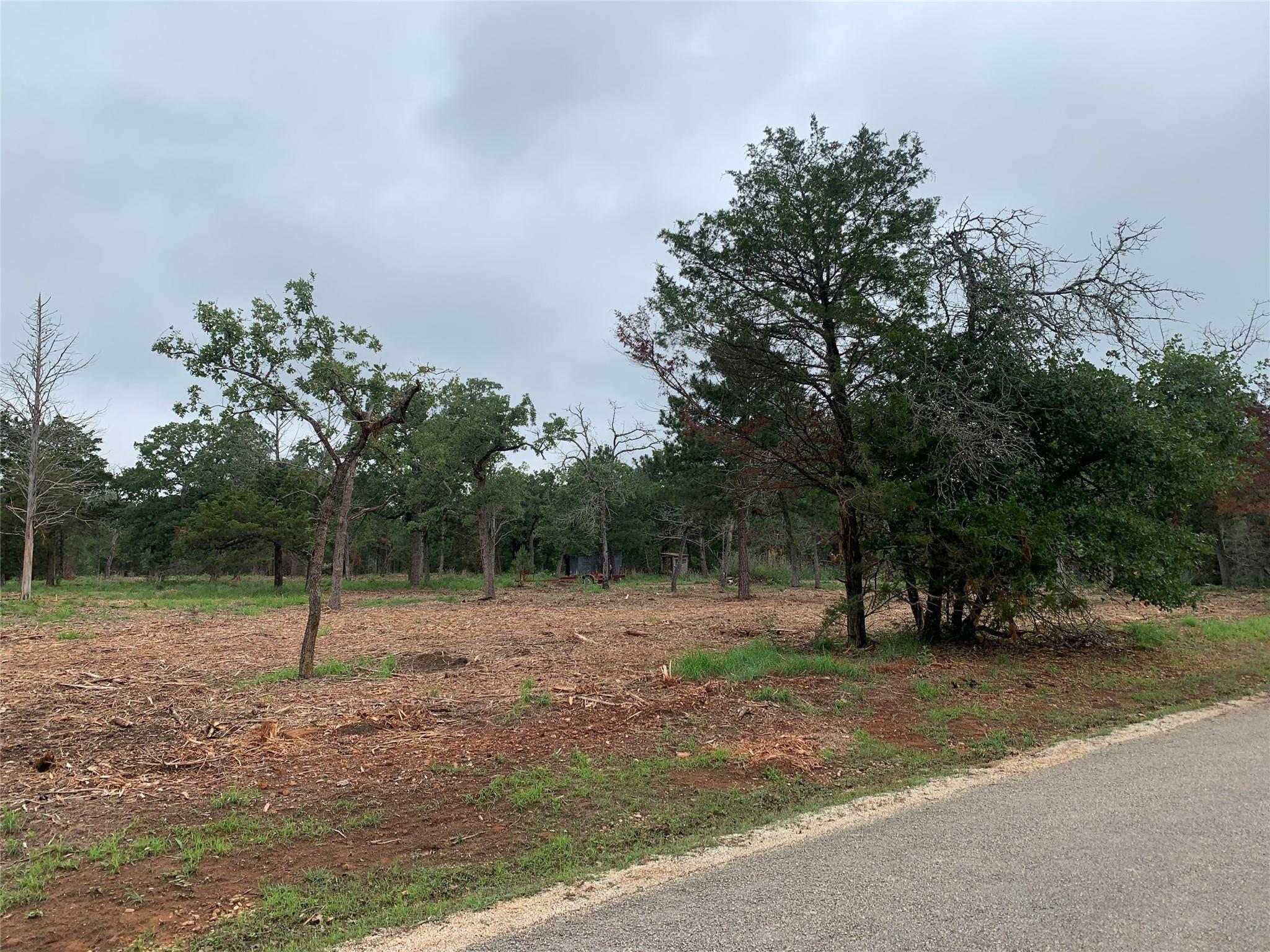 000 Pine Valley Loop, Smithville, TX 78612