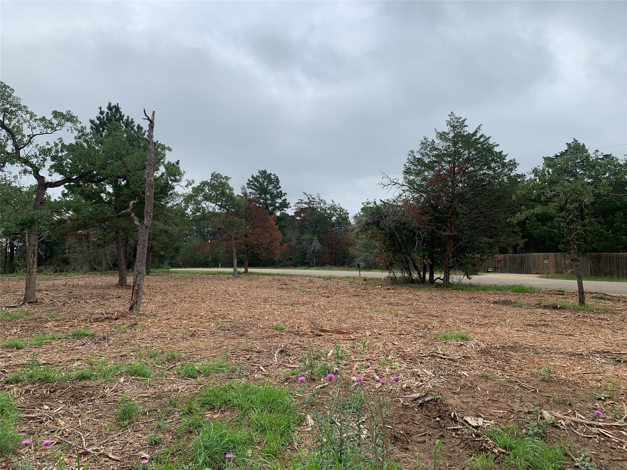 000 Pine Valley Loop, Smithville, TX 78612