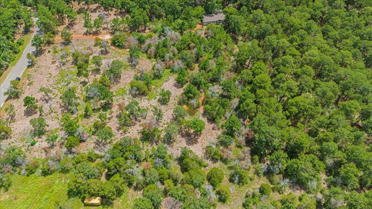 000 Pine Valley Loop, Smithville, TX 78612