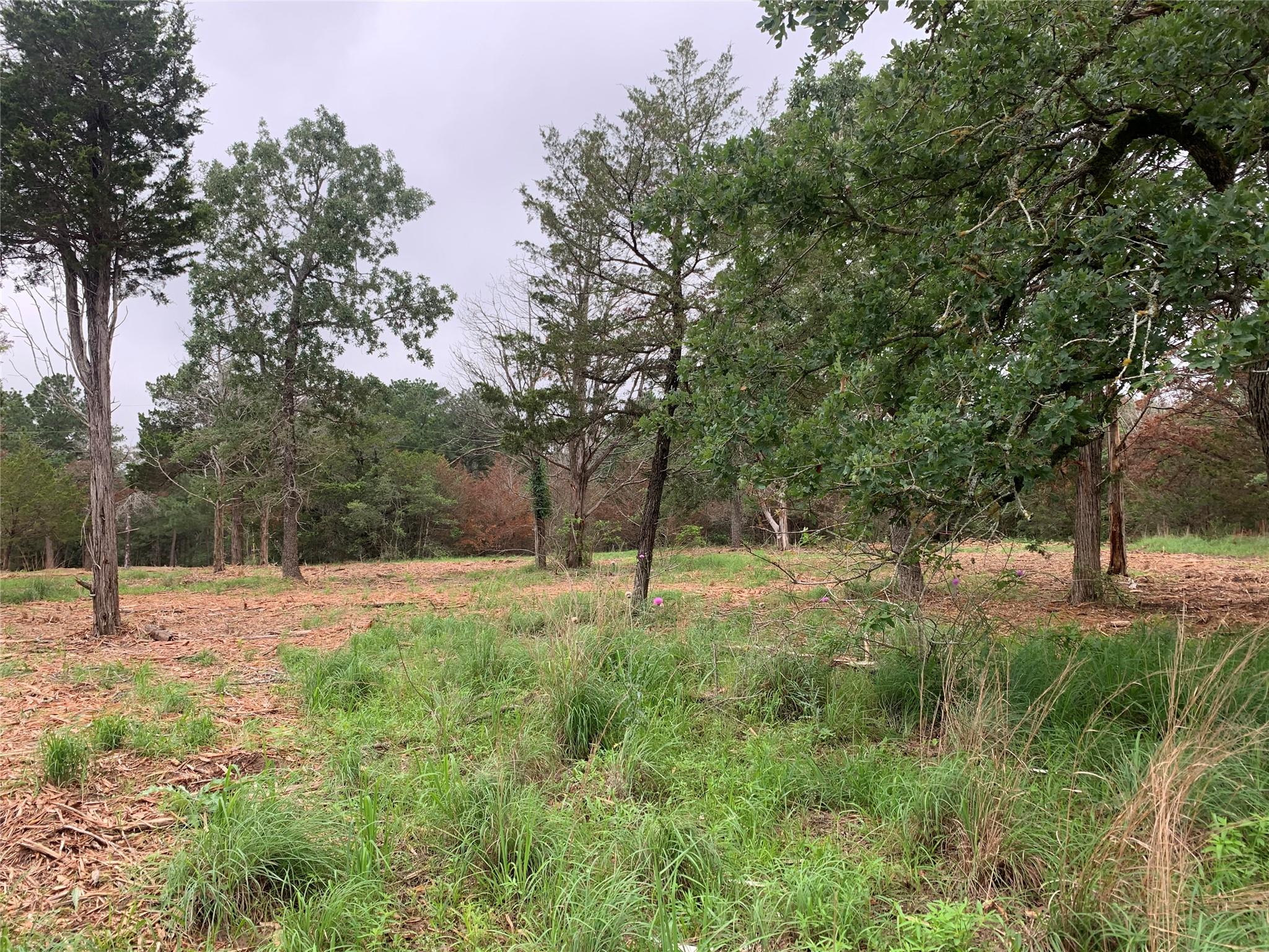 000 Pine Valley Loop, Smithville, TX 78612