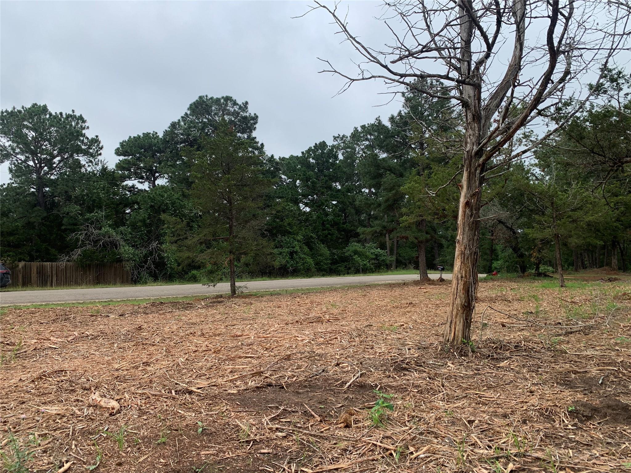 000 Pine Valley Loop, Smithville, TX 78612