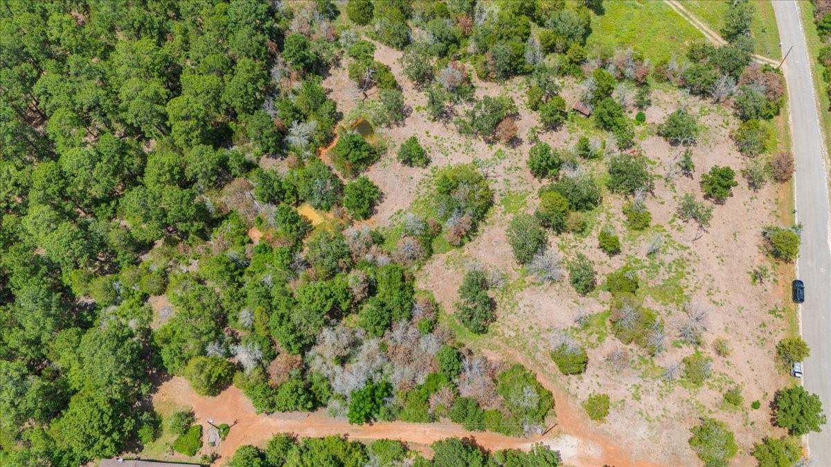 000 Pine Valley Loop, Smithville, TX 78612