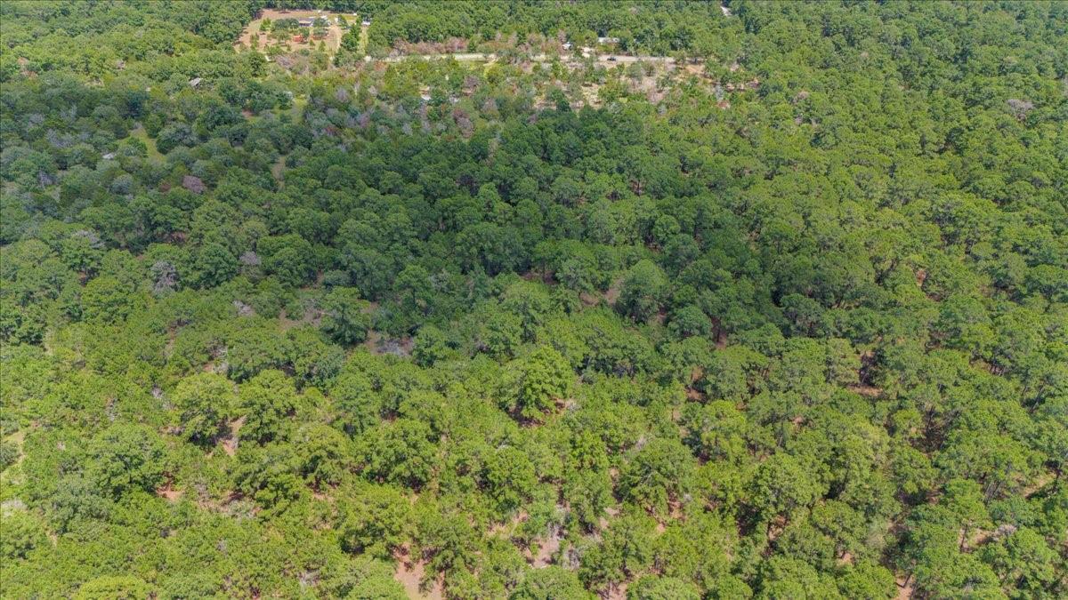 000 Pine Valley Loop, Smithville, TX 78612