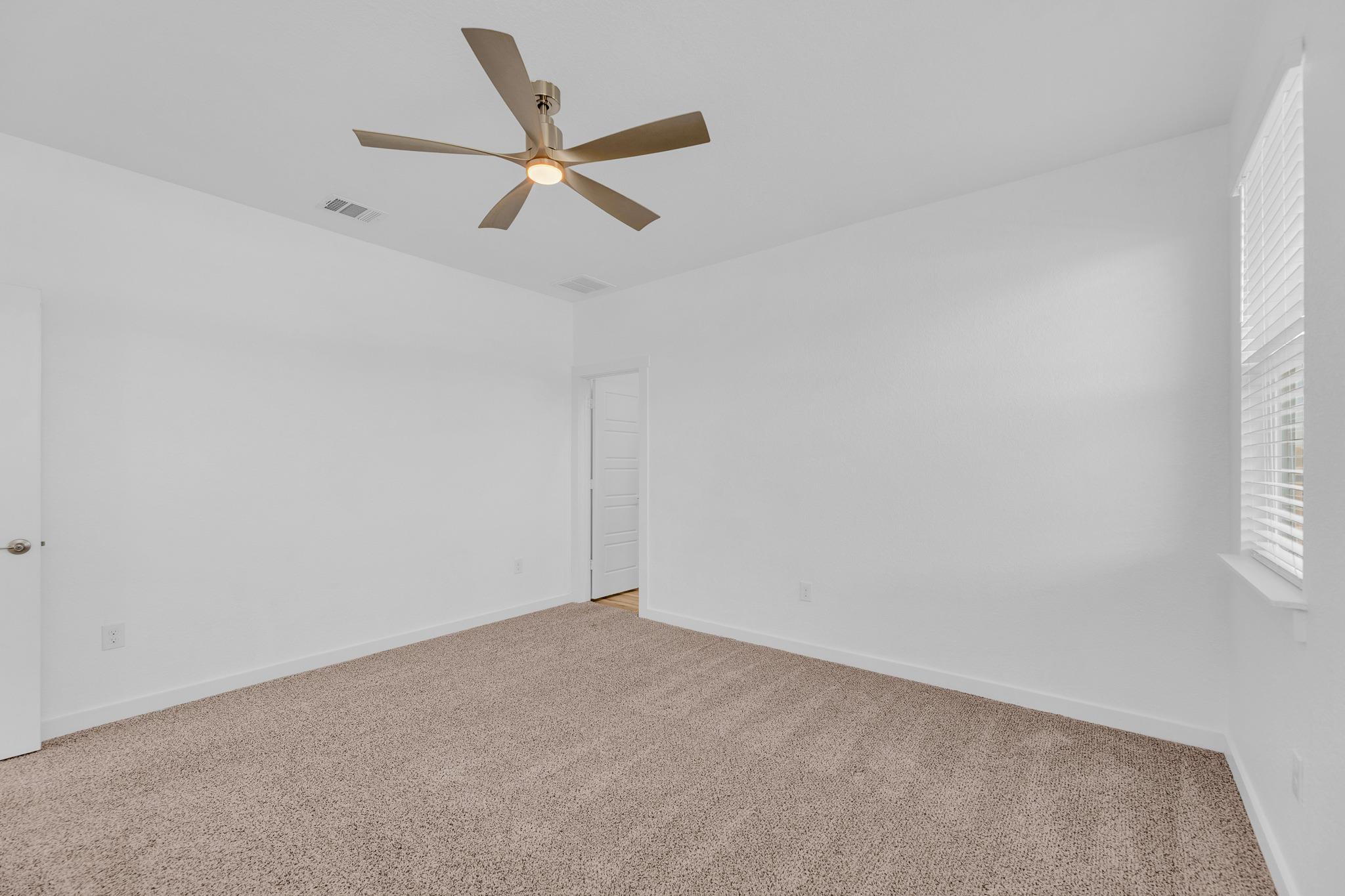 149 Filifera Ct, Leander, TX 78641