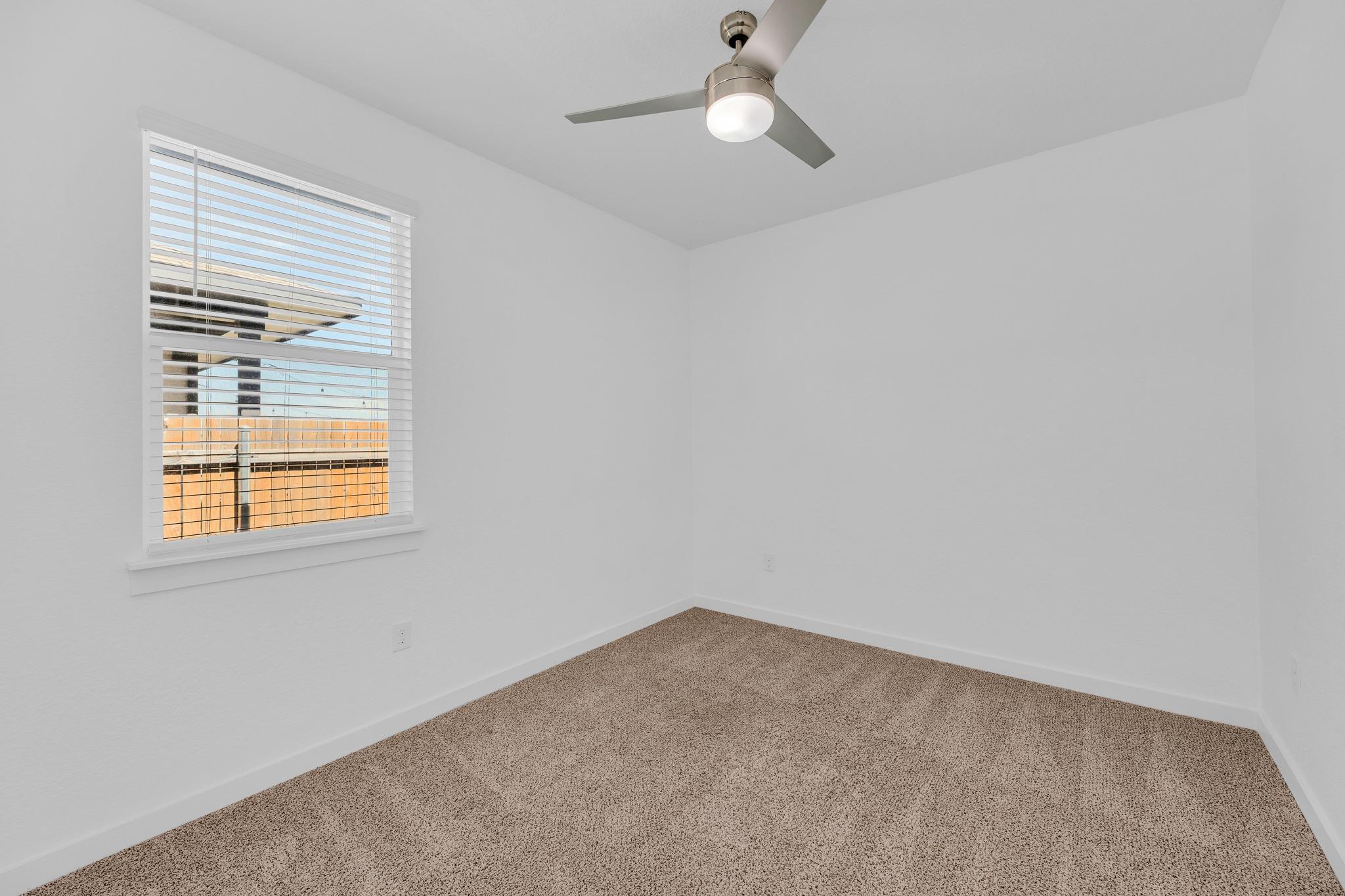 149 Filifera Ct, Leander, TX 78641