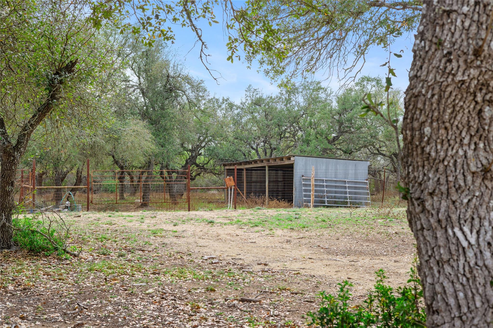 14511 Farm to Market 32, Blanco, TX 78606