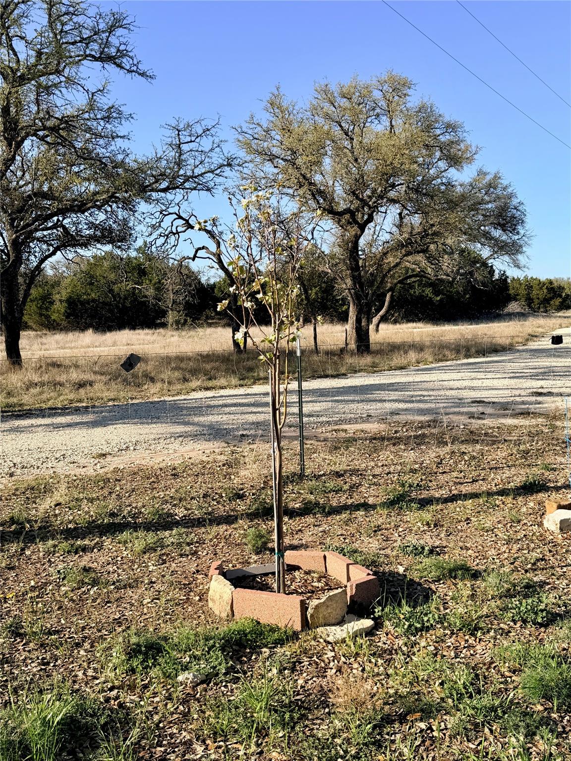 65 CR 406, Goldthwaite, TX 76844