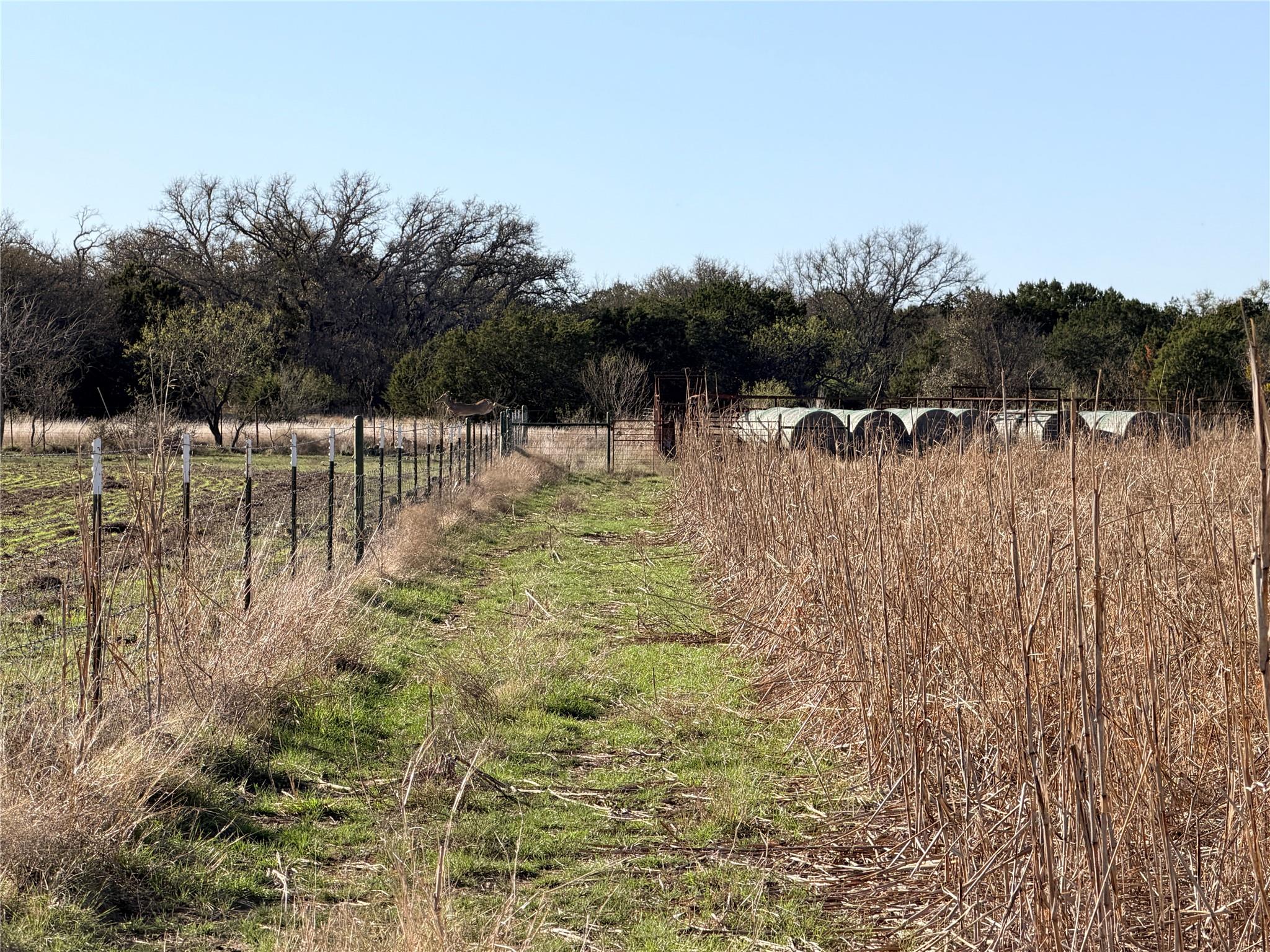 65 CR 406, Goldthwaite, TX 76844
