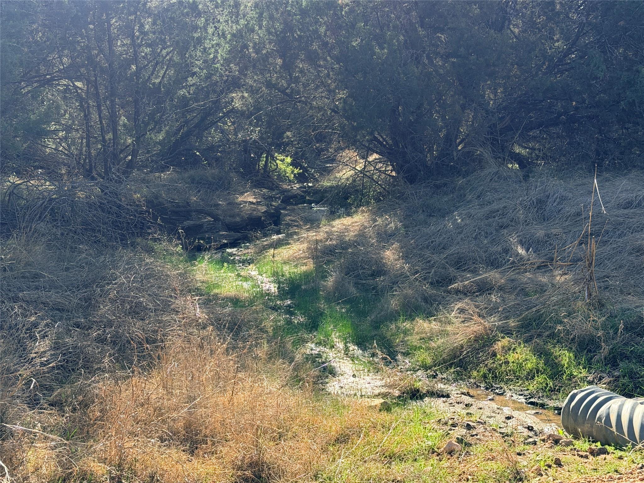 65 CR 406, Goldthwaite, TX 76844