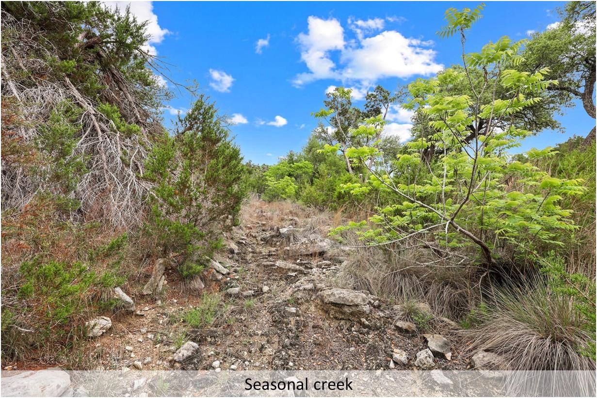 408 Stonegate Ln, Dripping Springs, TX 78620