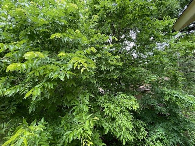 8808 Mountain Ridge Dr # B, Austin, TX 78759