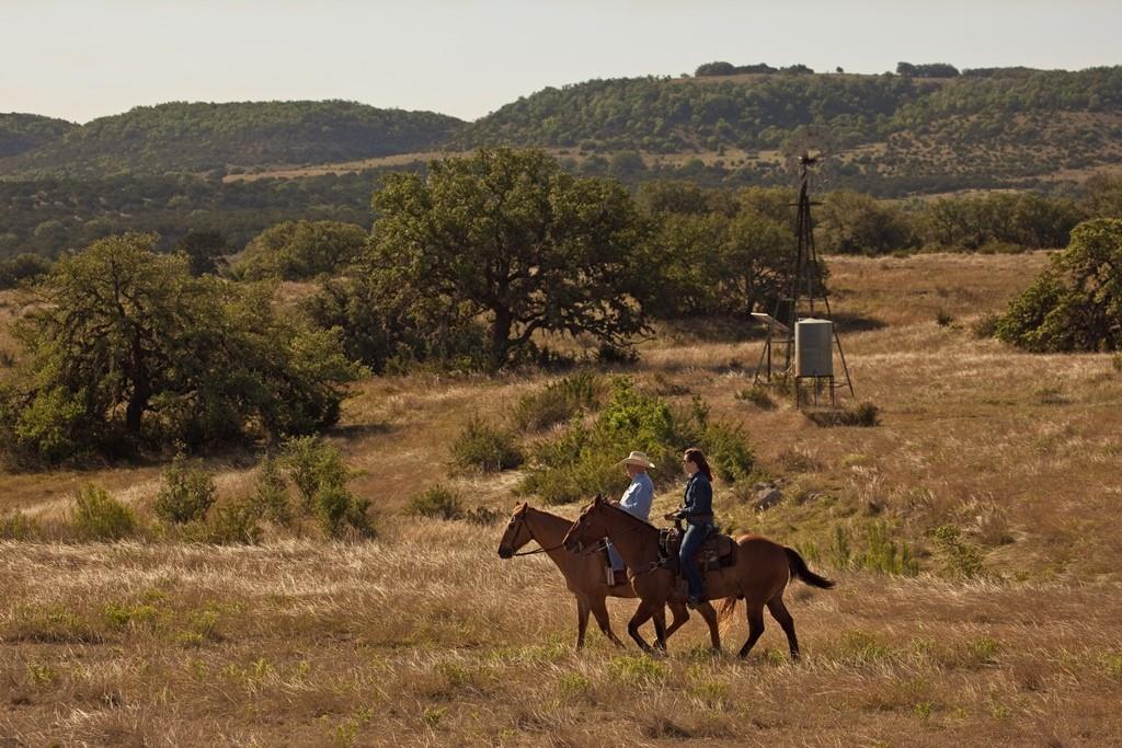 1934 N Walnut Springs Rd, Johnson City, TX 78636