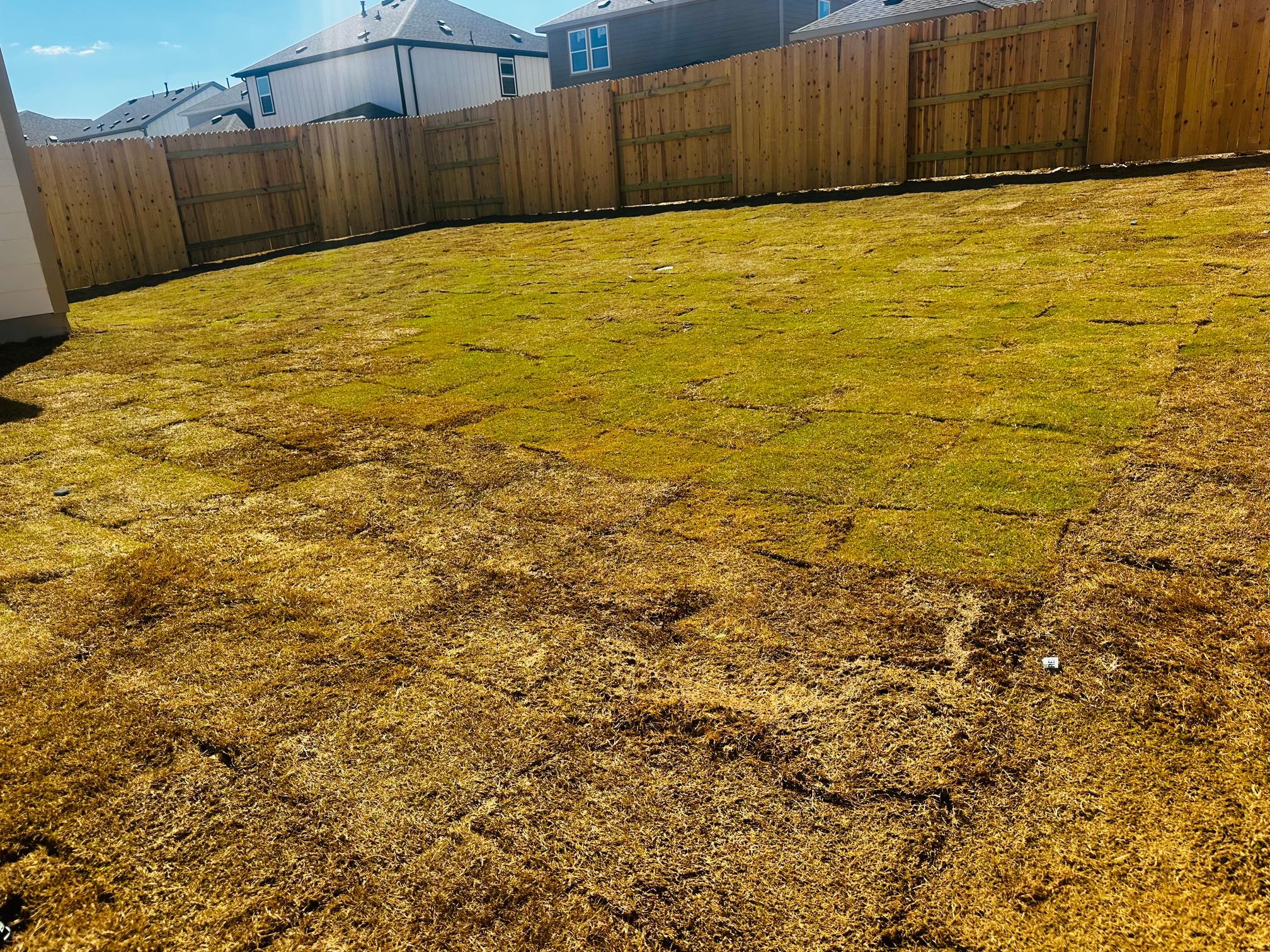 149 Jans Way, Georgetown, TX 78626