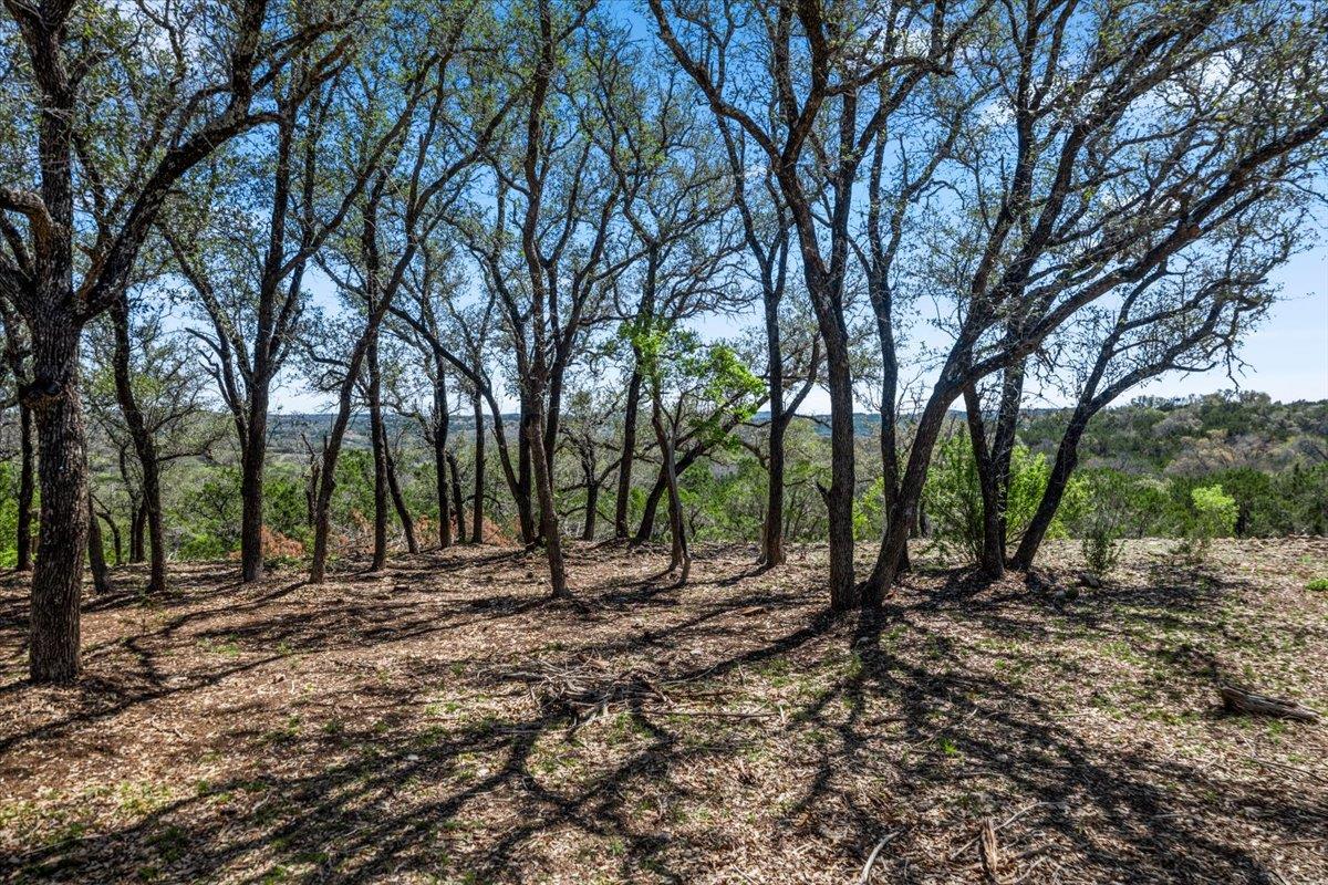 25723 Hamilton Pool Rd, Round Mountain, TX 78654