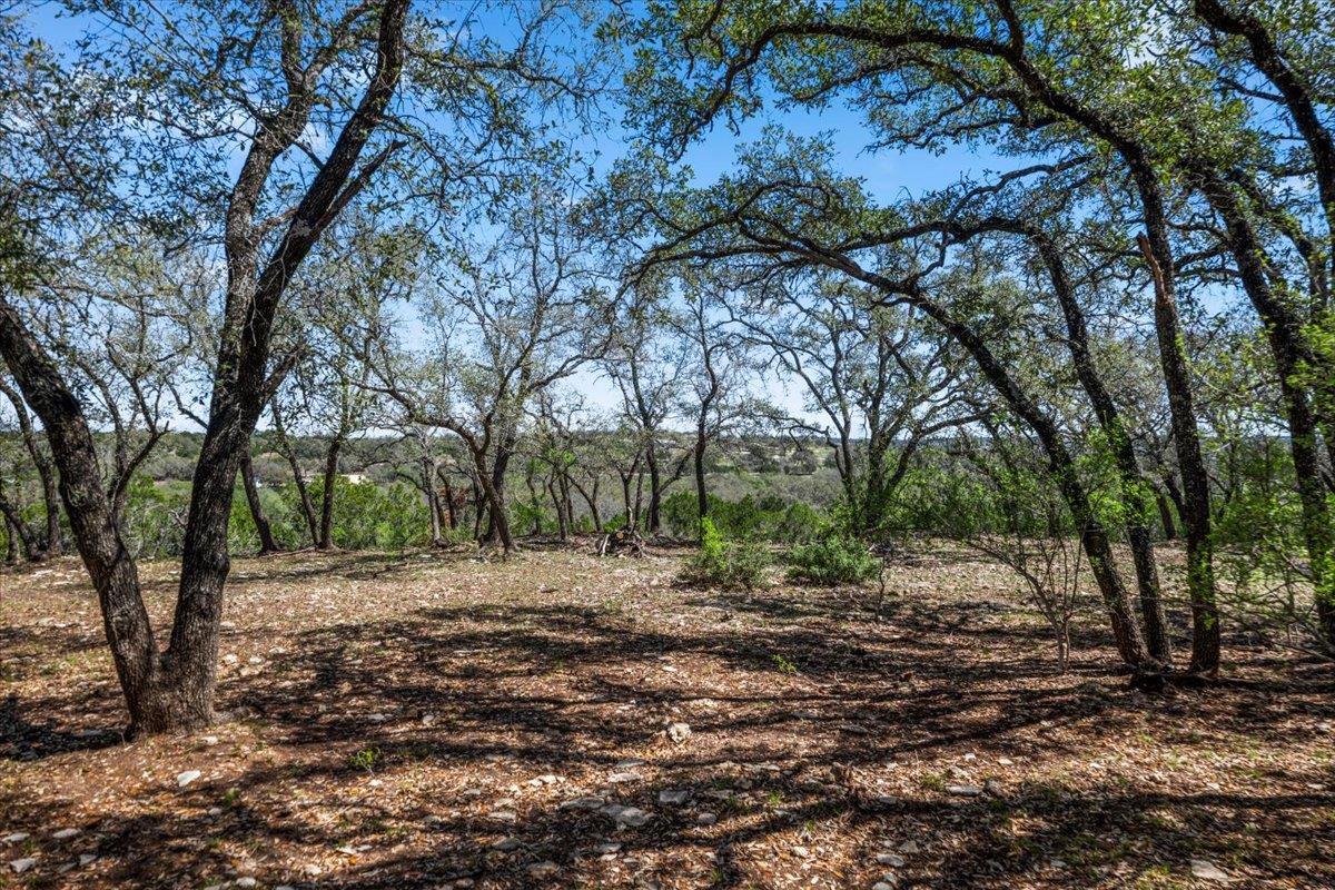 25723 Hamilton Pool Rd, Round Mountain, TX 78654