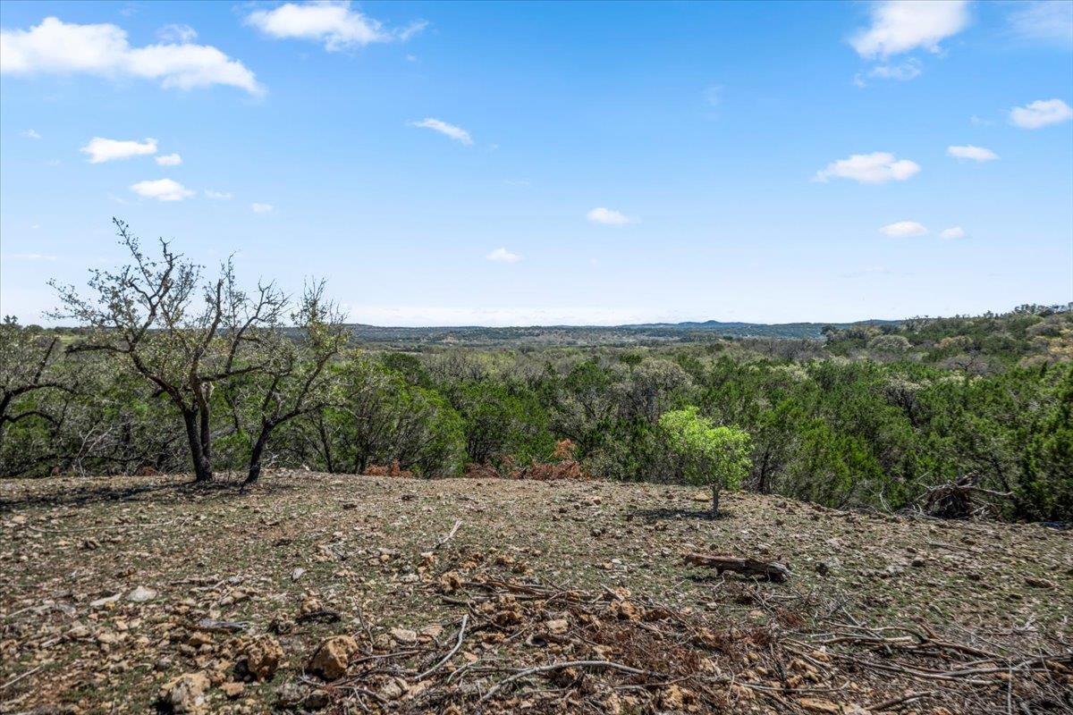 25723 Hamilton Pool Rd, Round Mountain, TX 78654