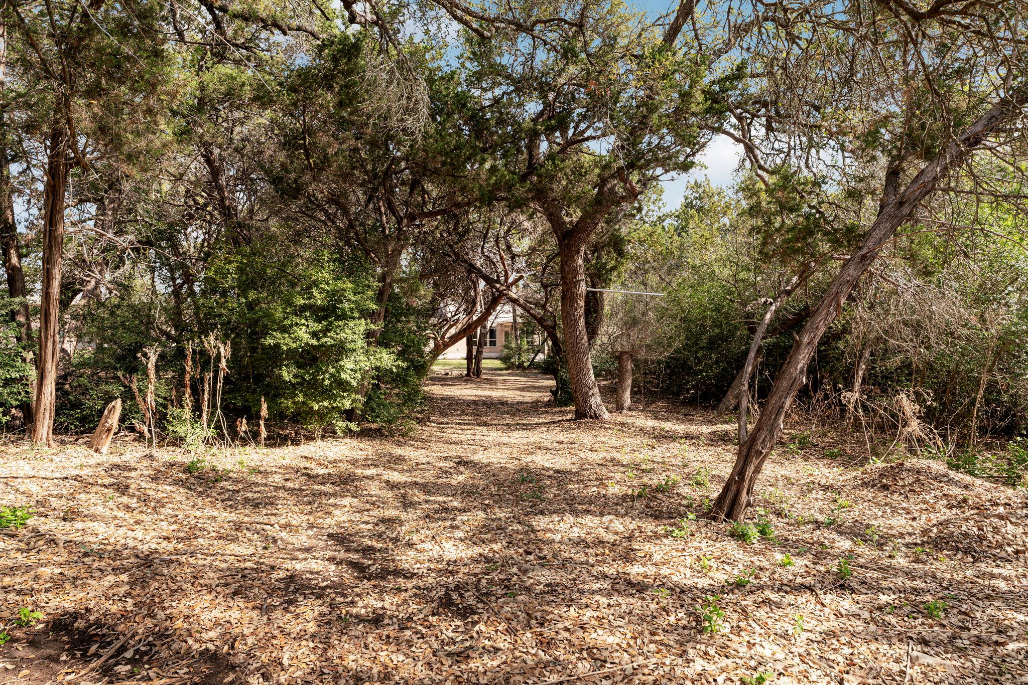 1606 Flint Rock Loop, Driftwood, TX 78619