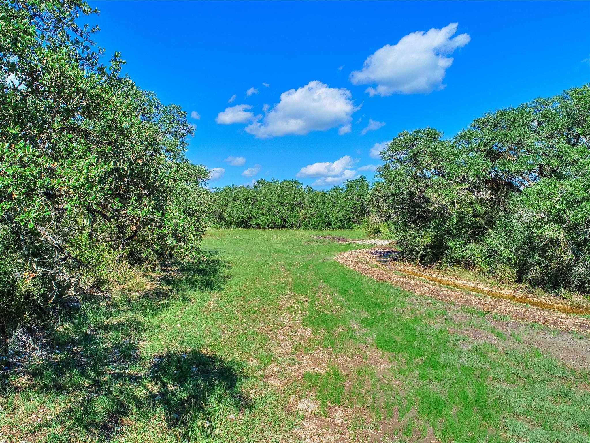 3547 W State Highway 29, Bertram, TX 78605