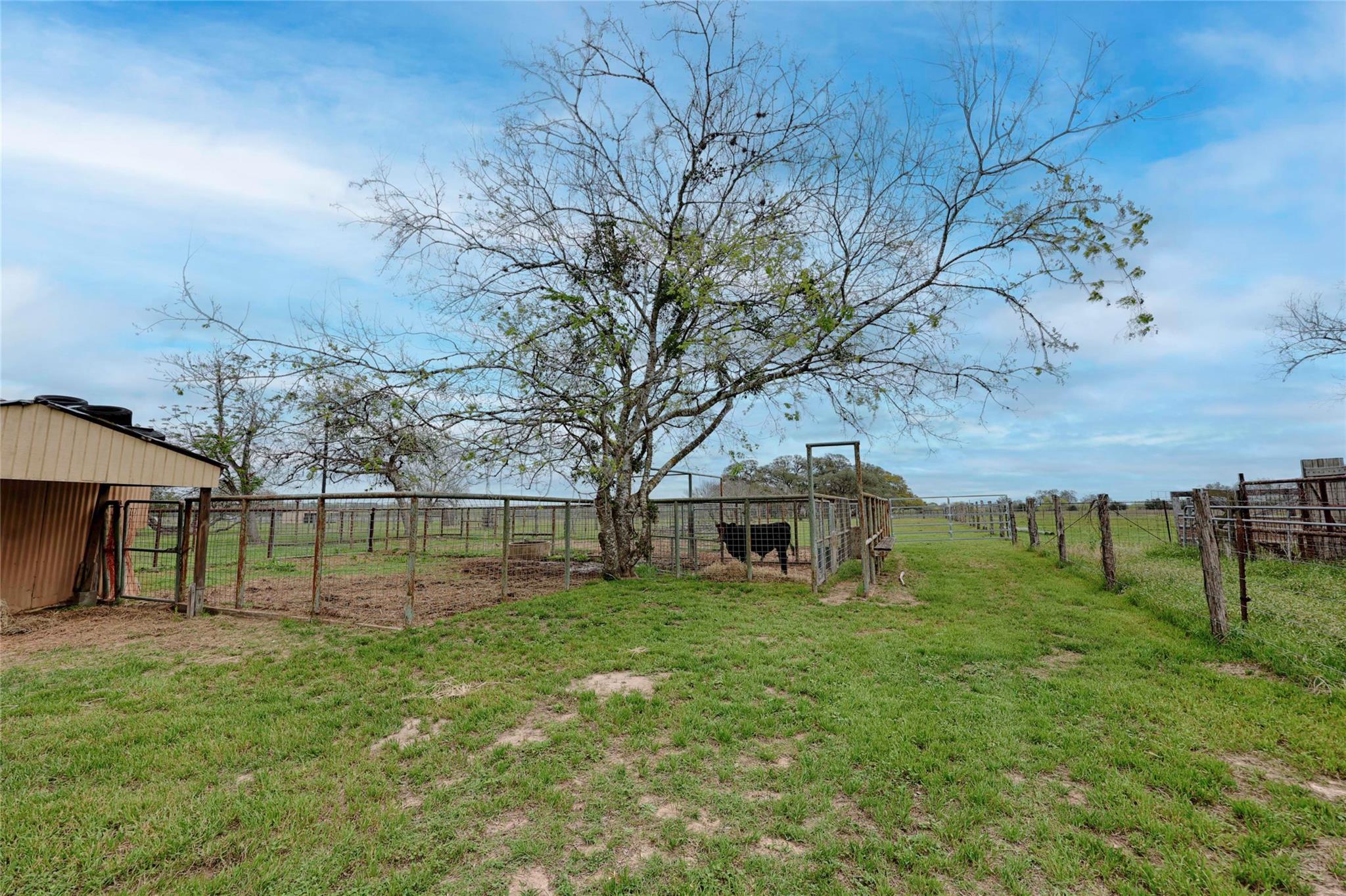 341 County Road 233 Rd, Hallettsville, TX 77964