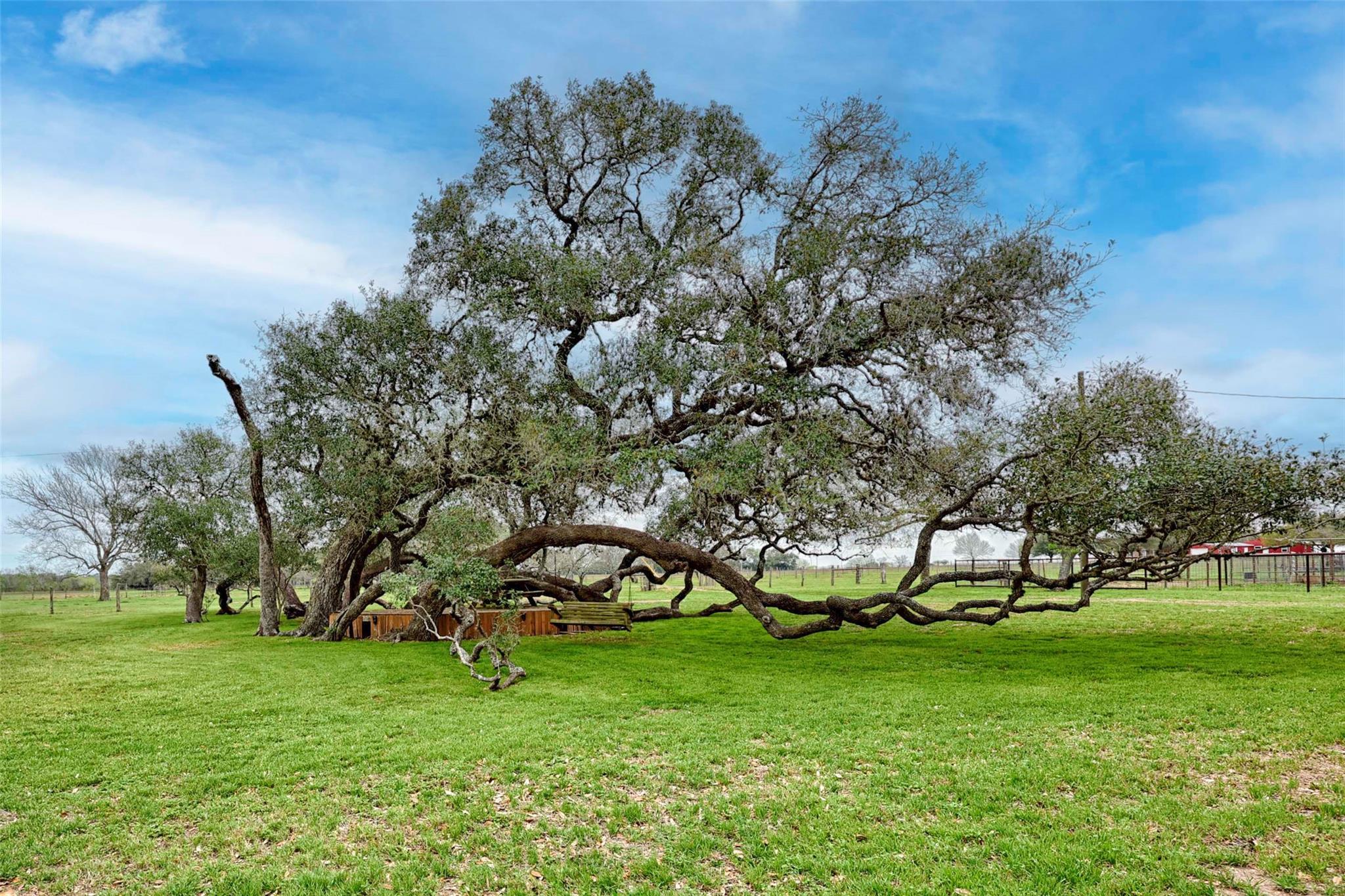 341 County Road 233 Rd, Hallettsville, TX 77964