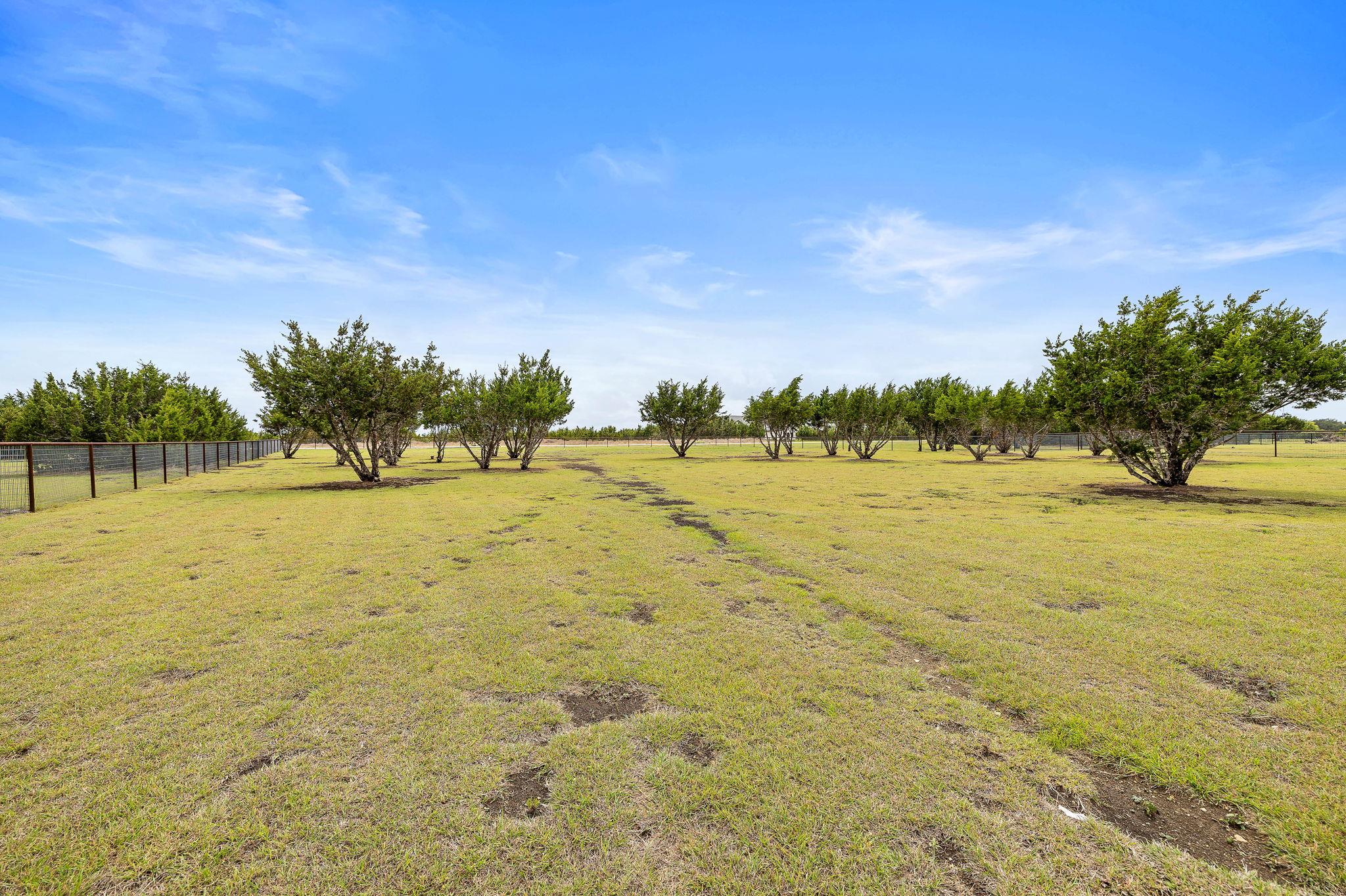 508 Purple Salvia Cv, Liberty Hill, TX 78642